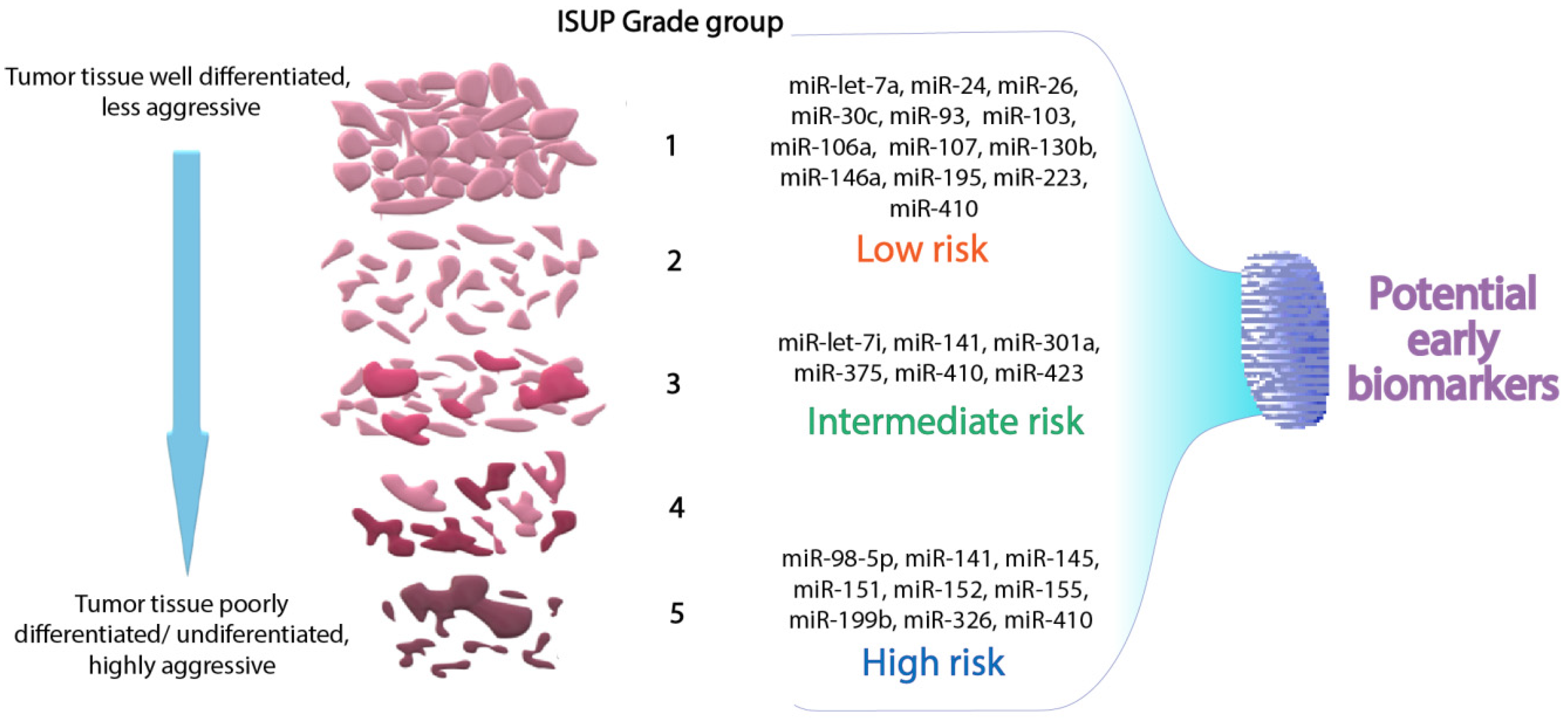 Medicina 56 00094 g004