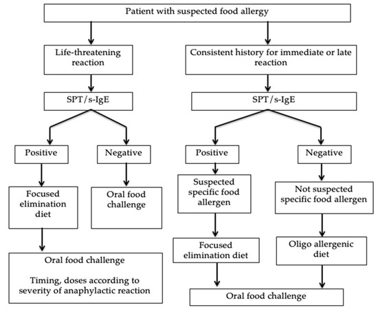 Medicina Free Full Text Immunoglobulin E Ige Mediated Food