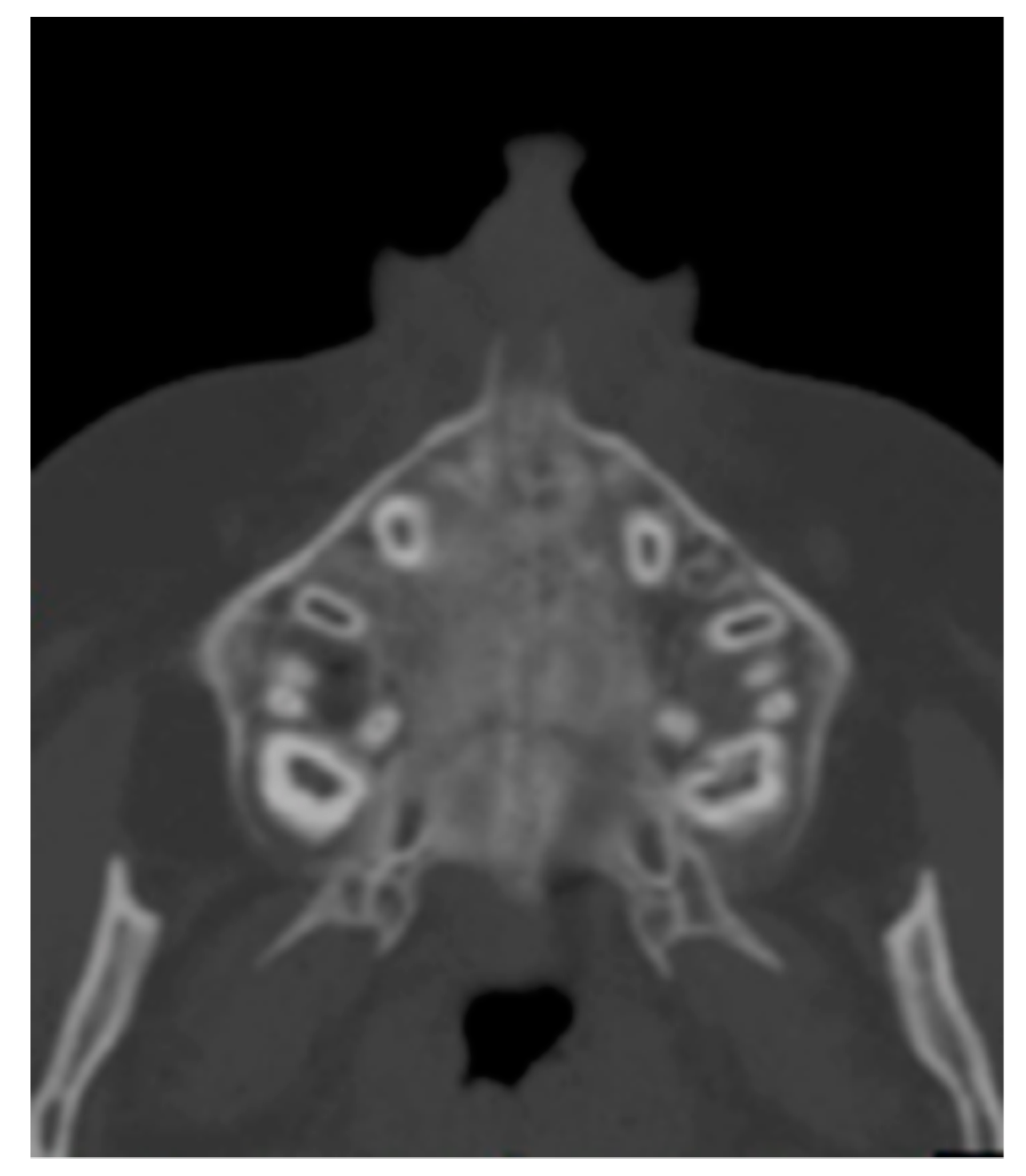Medicina 56 00112 g002