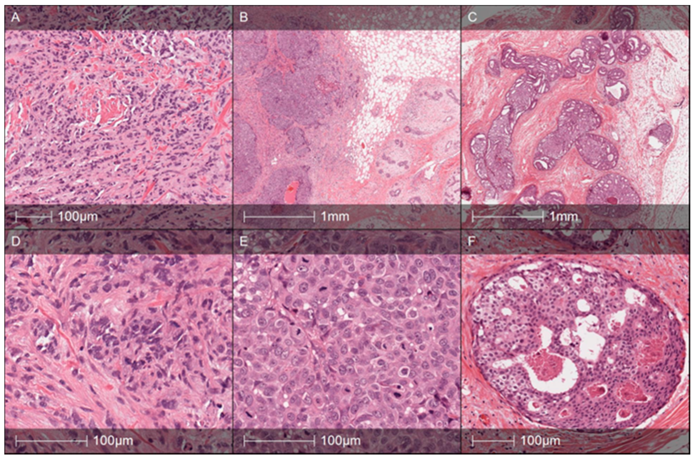 Medicina 56 00119 g002
