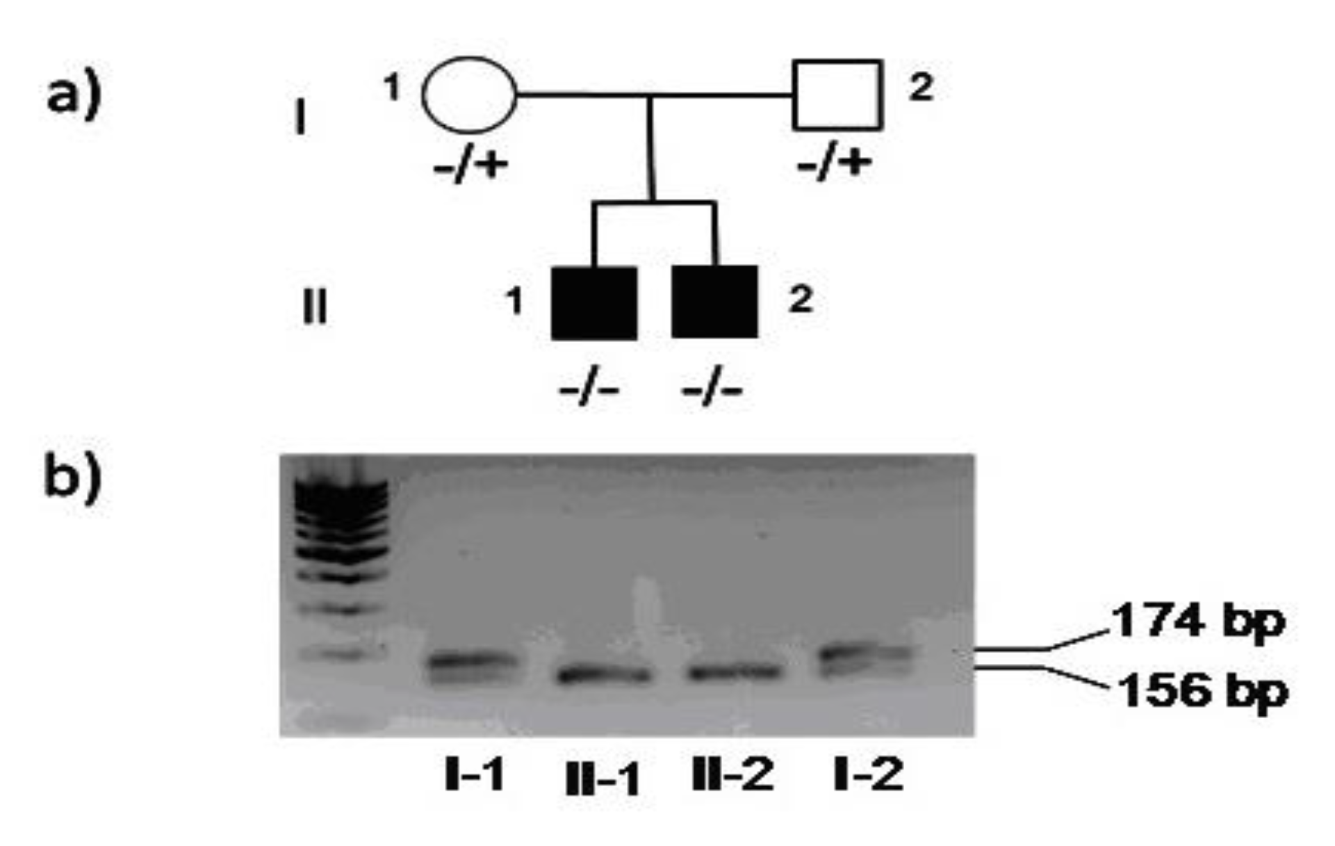 Medicina 56 00120 g001
