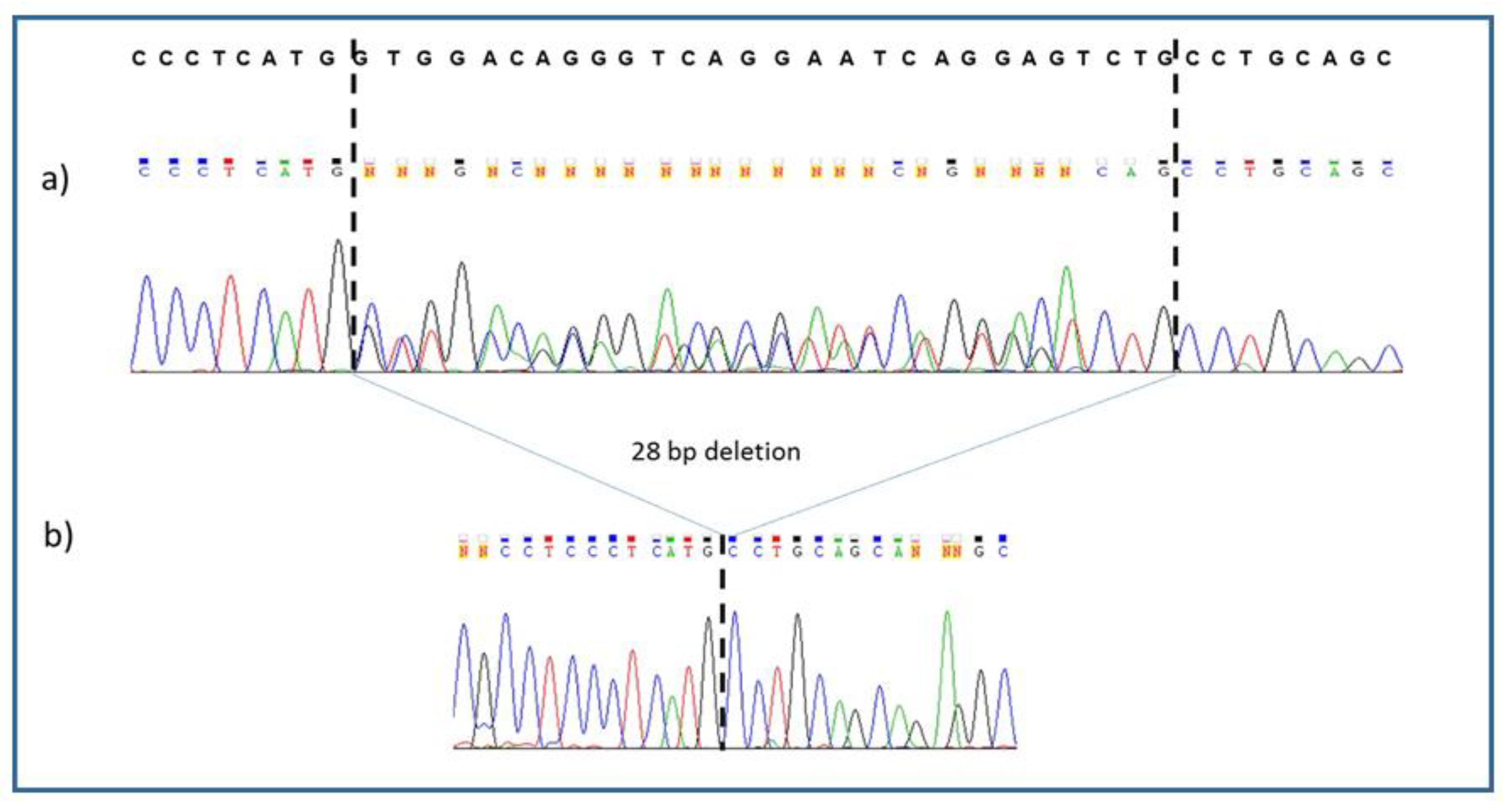 Medicina 56 00120 g002