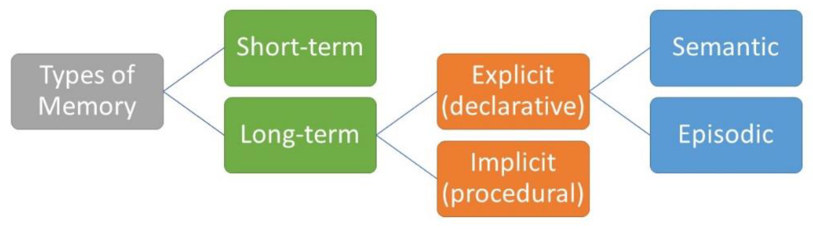 Medicina 56 00129 g002