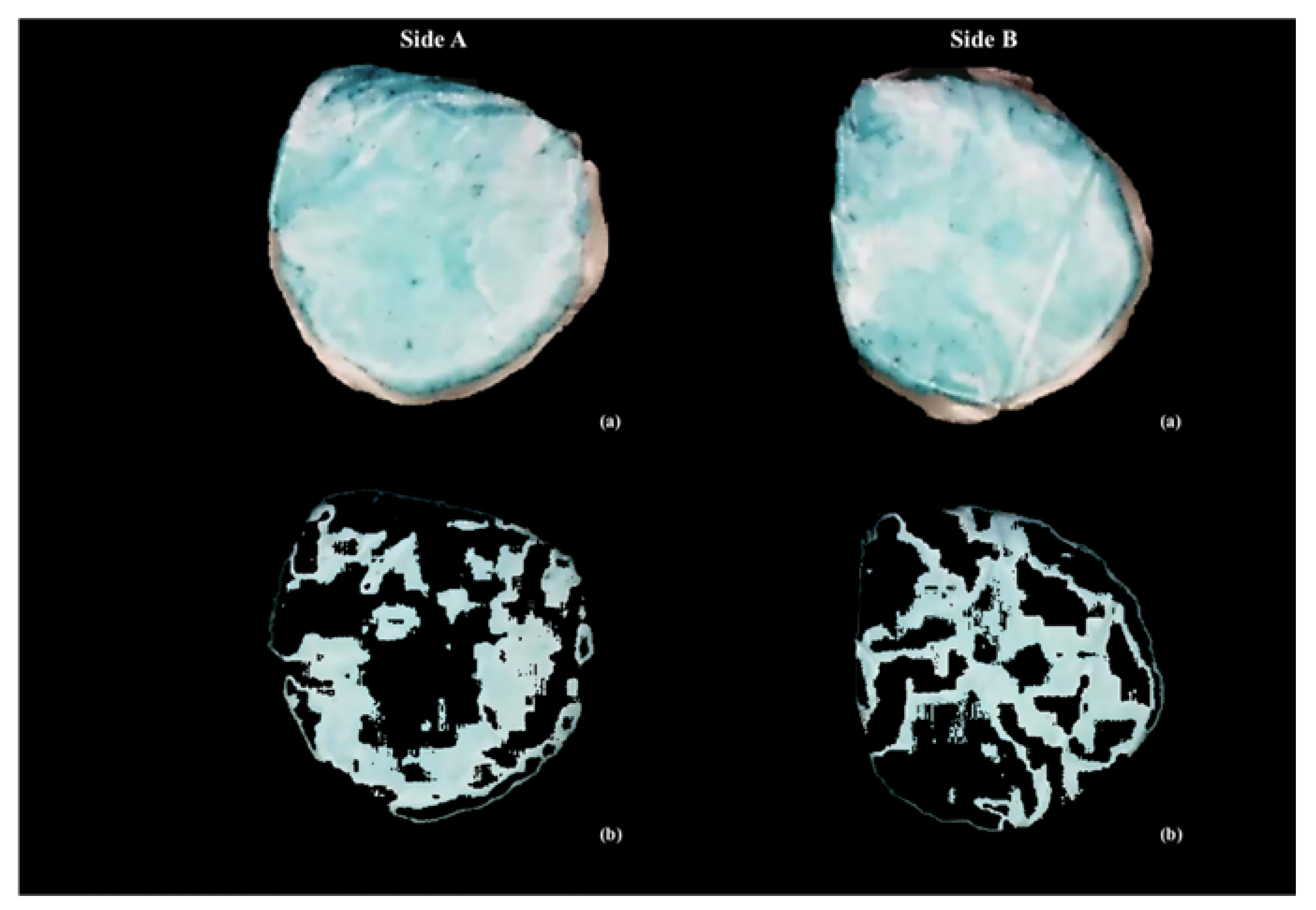 Medicina 56 00130 g001