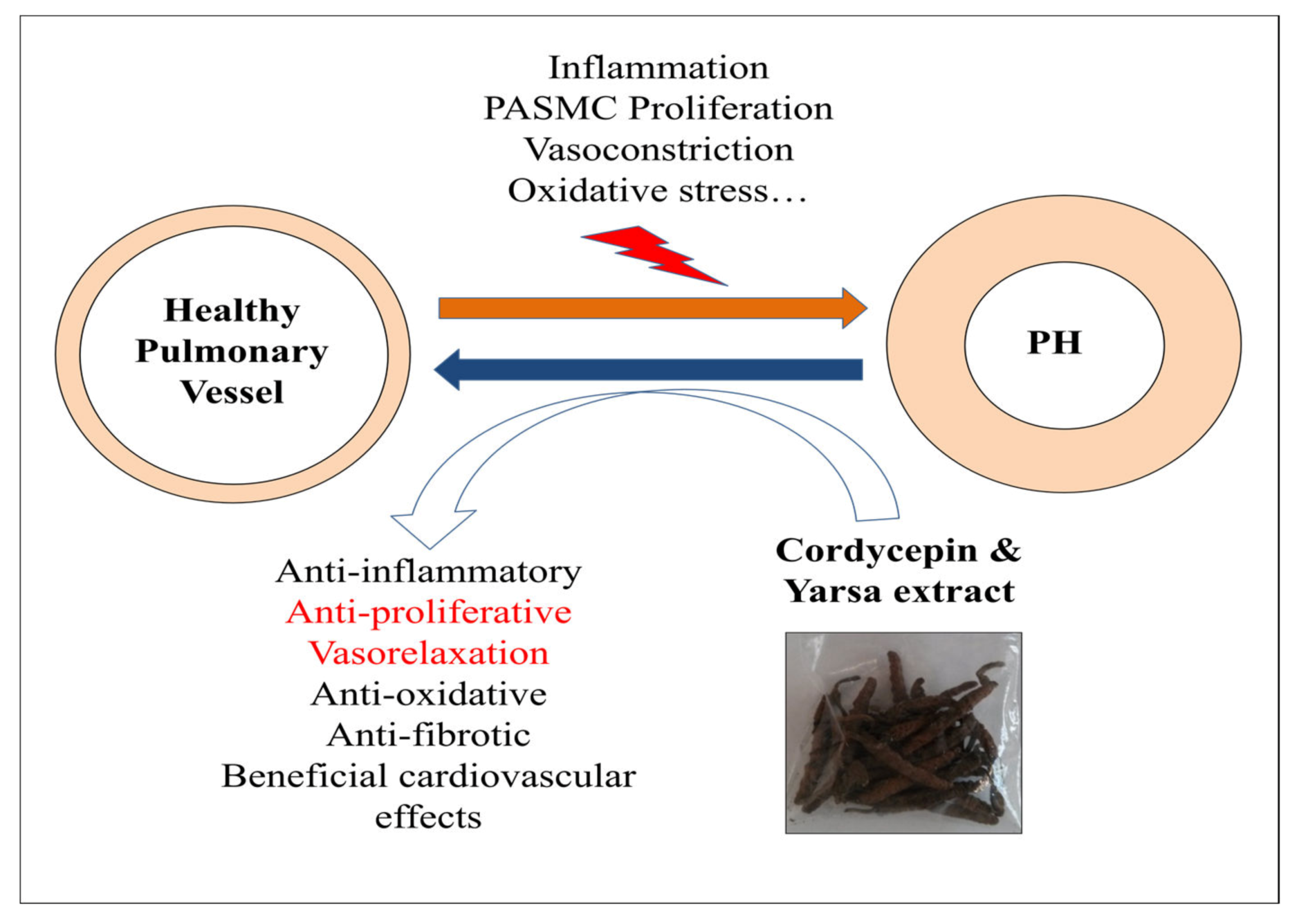 Medicina 56 00131 g006