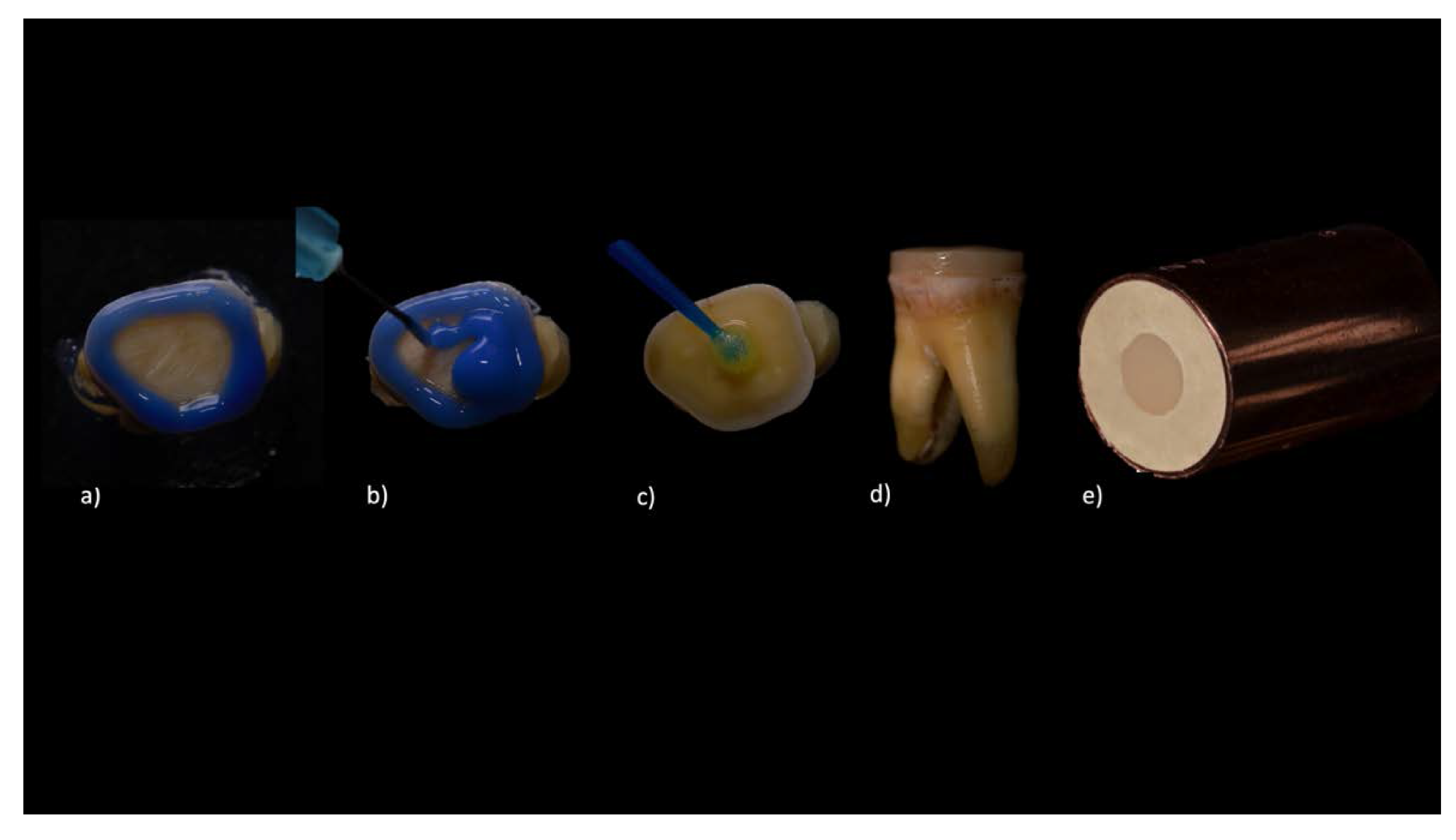 Medicina 56 00132 g001