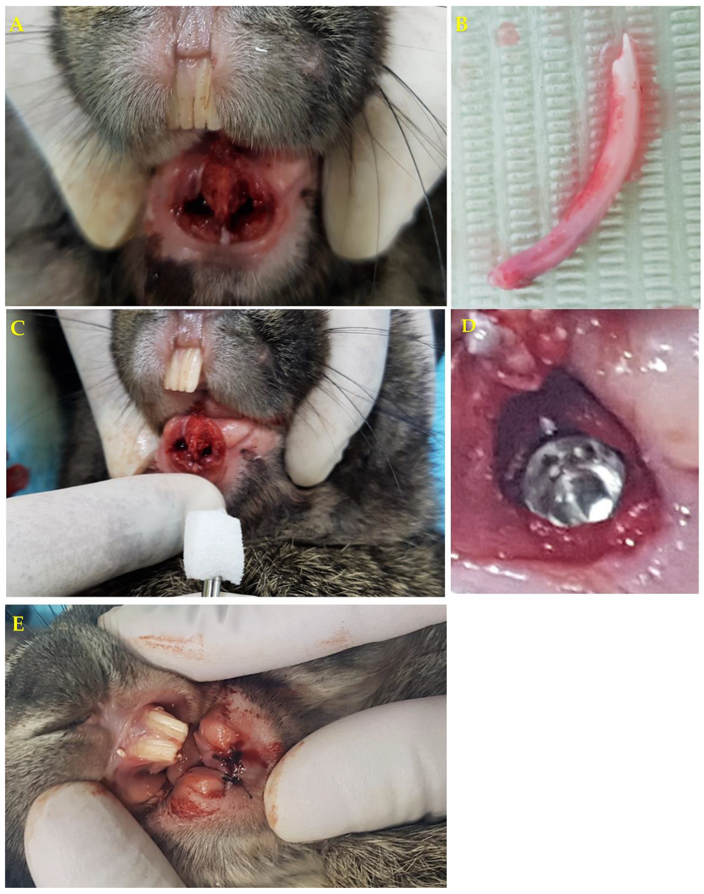 Medicina 56 00148 g001 Medicina 56 00148 g001