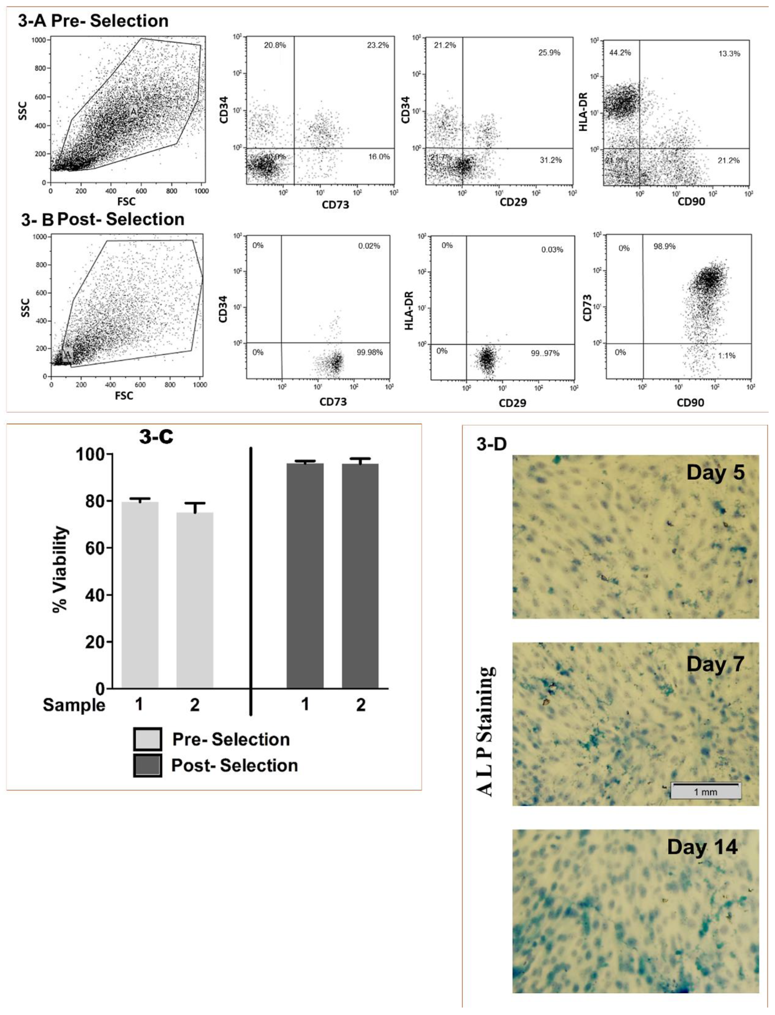 Medicina 56 00148 g003 Medicina 56 00148 g003