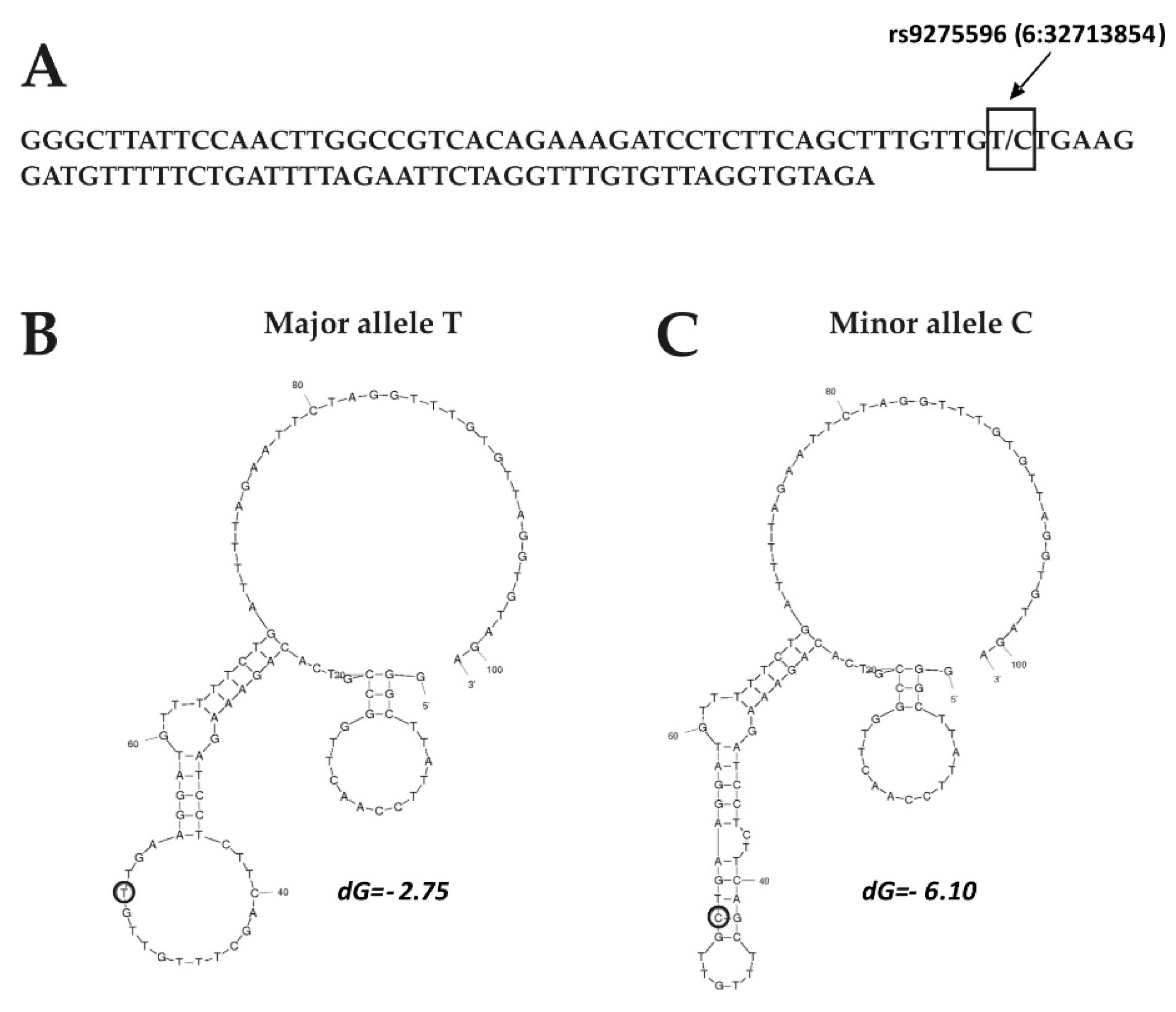 Medicina 56 00154 g003