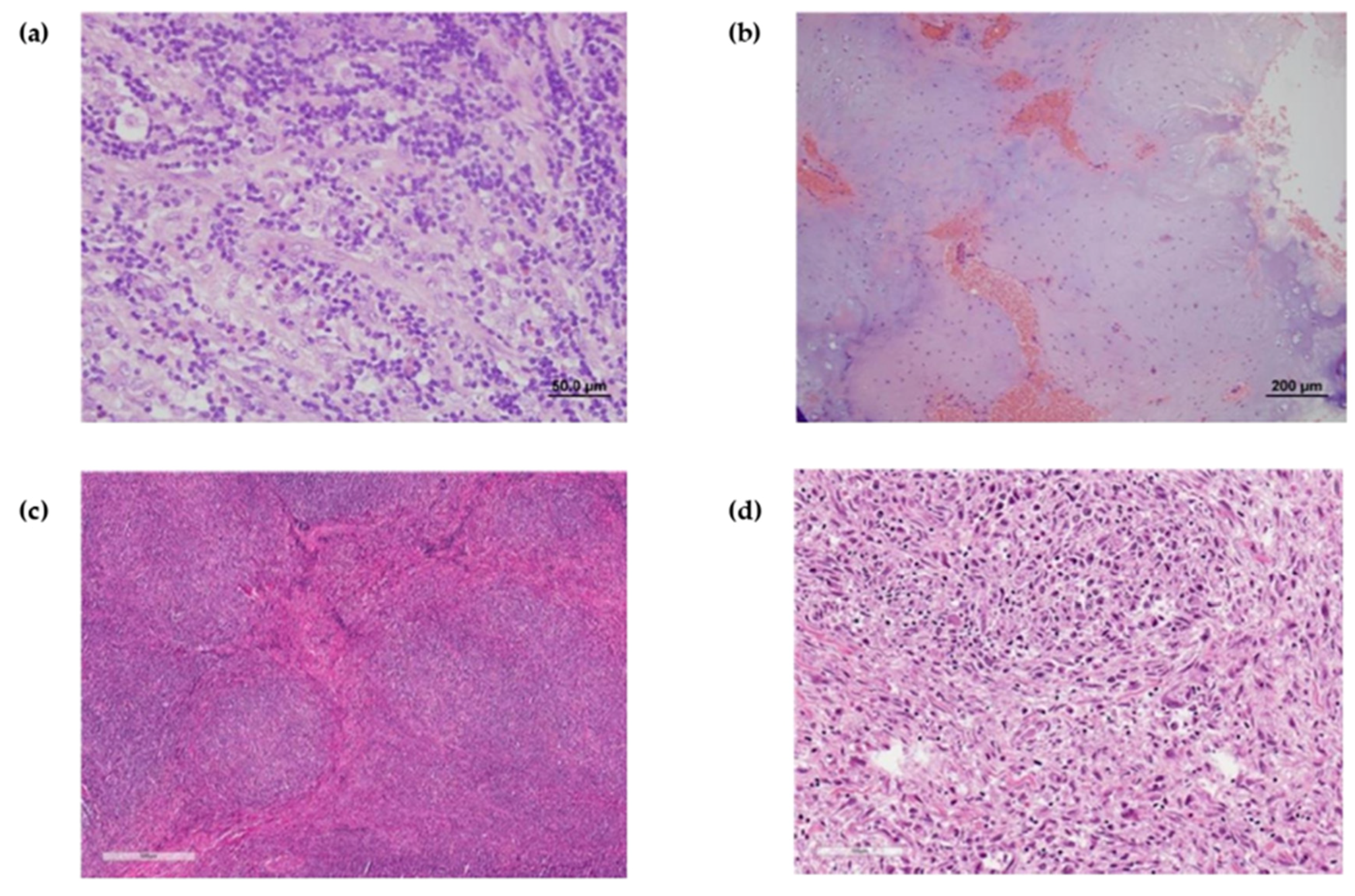 Medicina 56 00155 g002 Medicina 56 00155 g002
