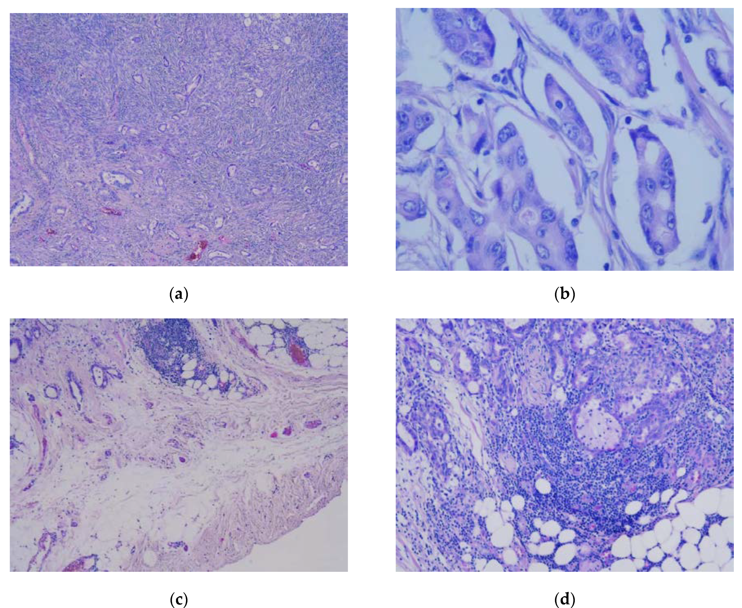 Medicina 56 00187 g012