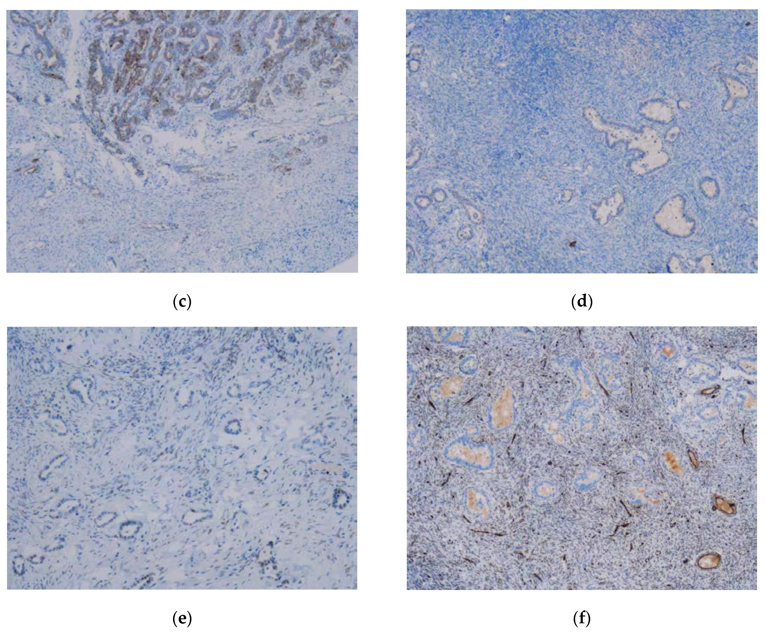 Medicina 56 00187 g013b