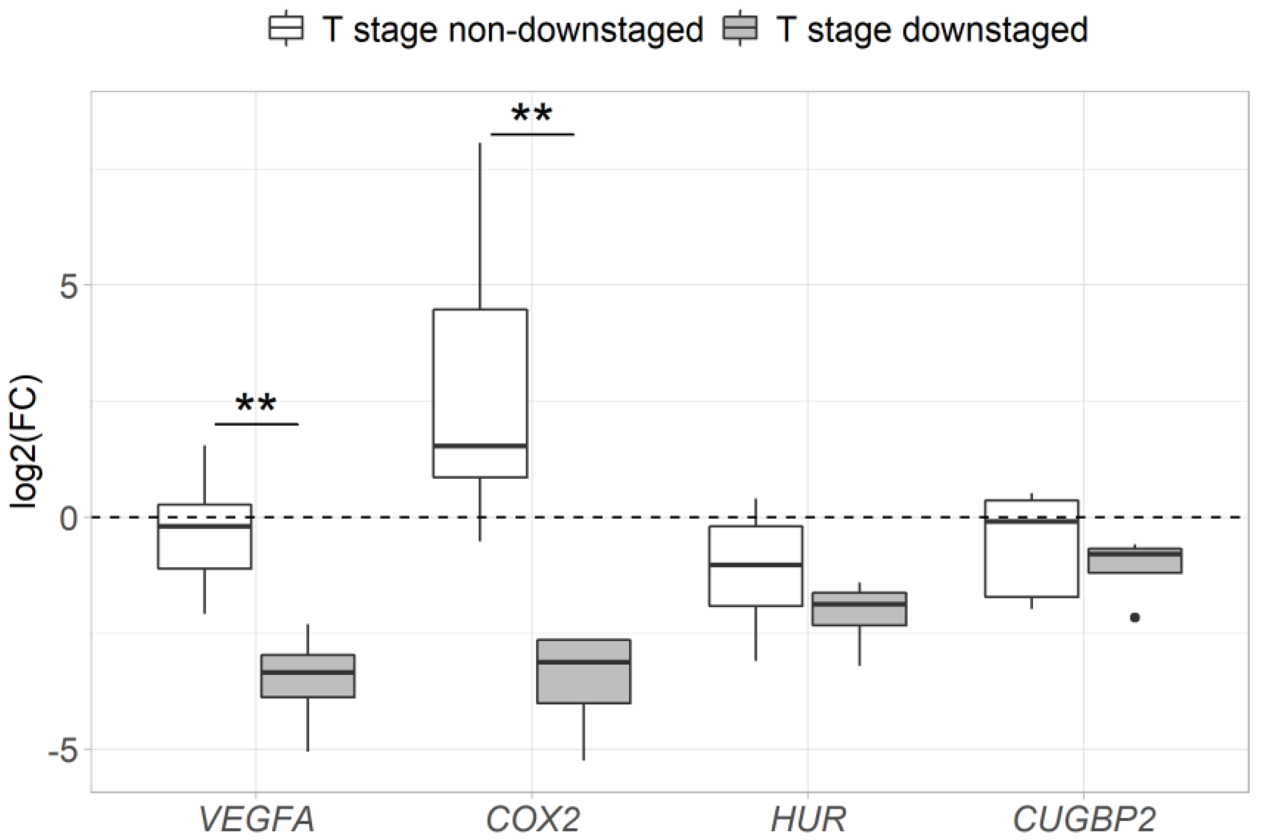 Medicina 56 00192 g006
