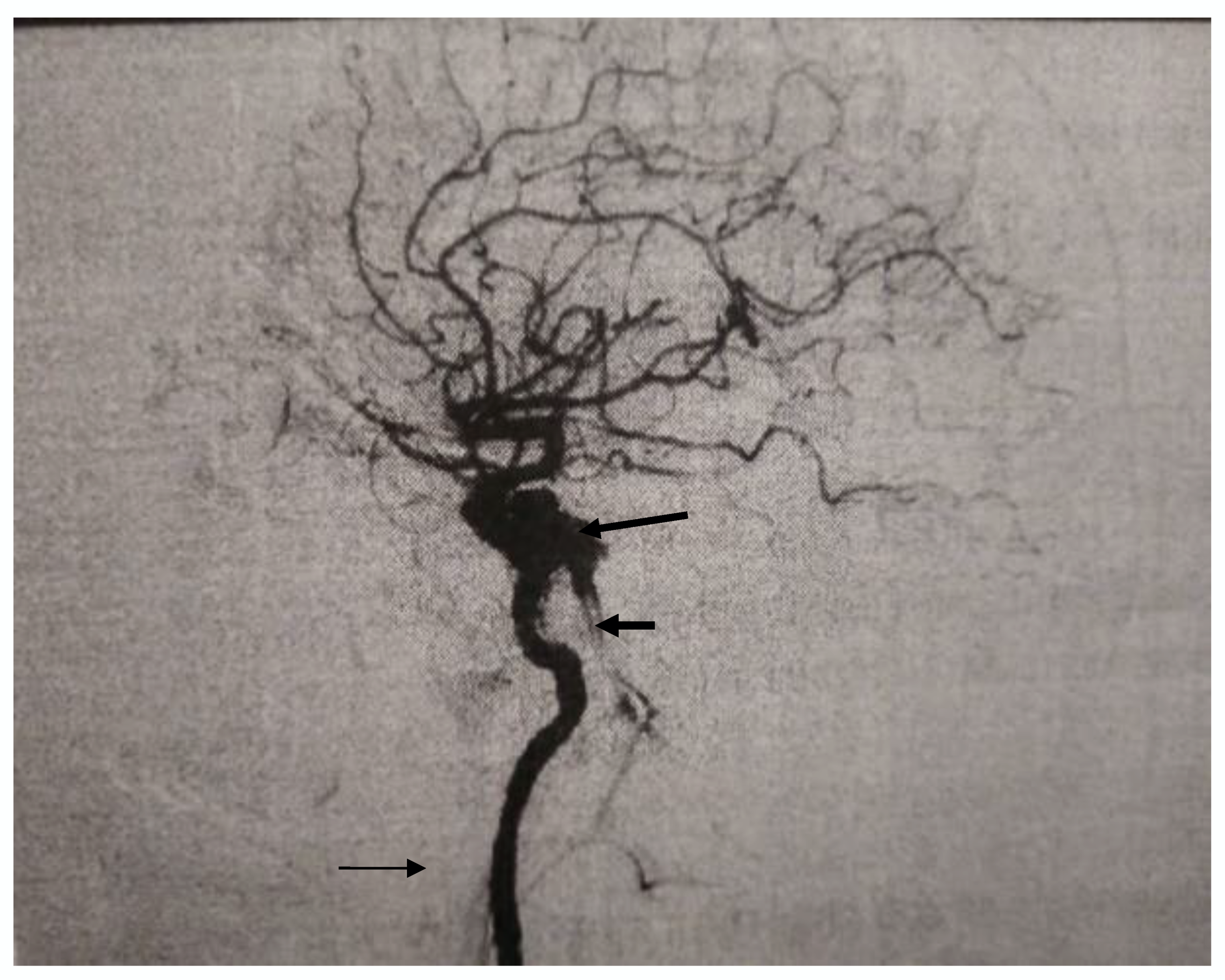 Medicina 56 00194 g001