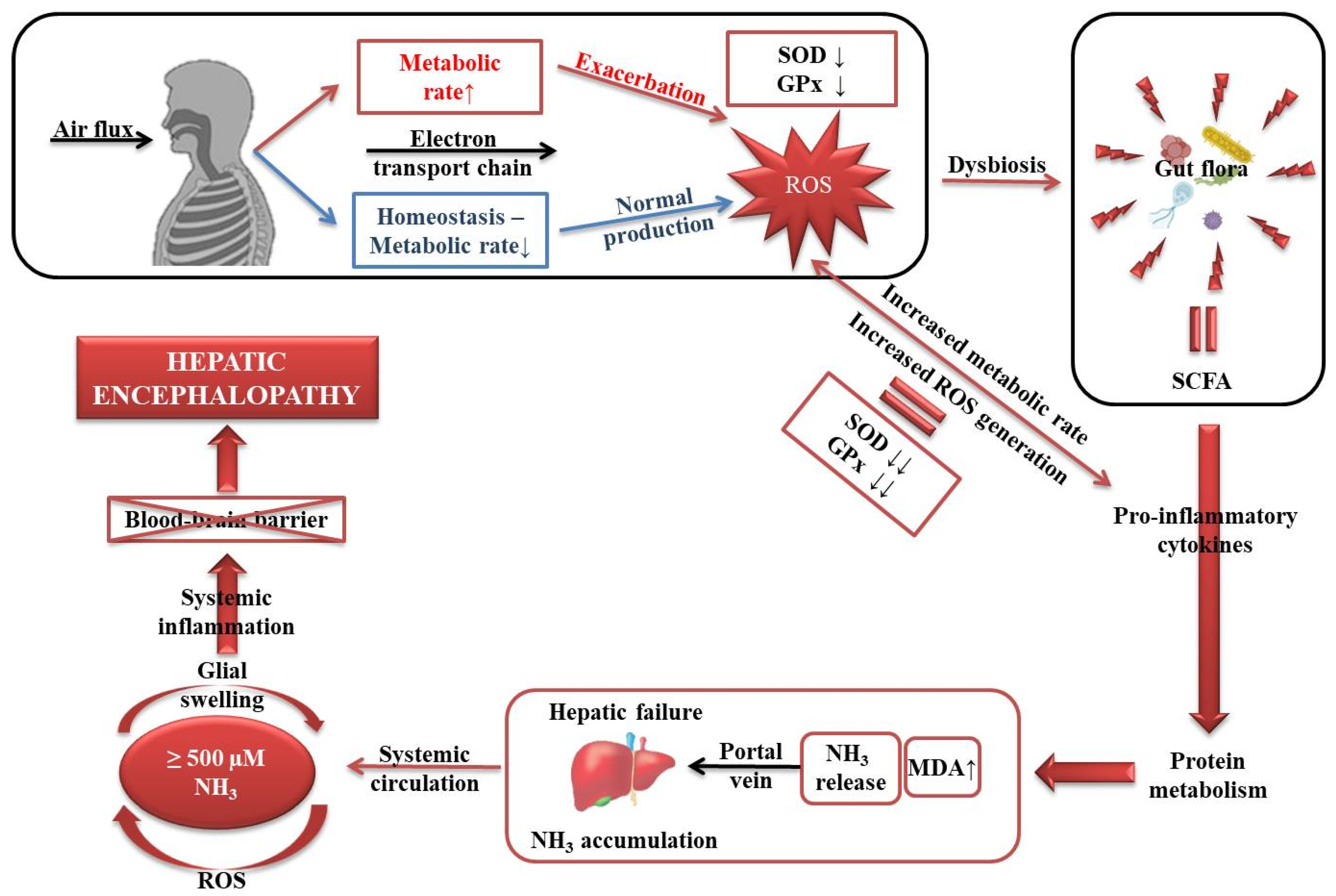 Medicina 56 00196 g002 Medicina 56 00196 g002