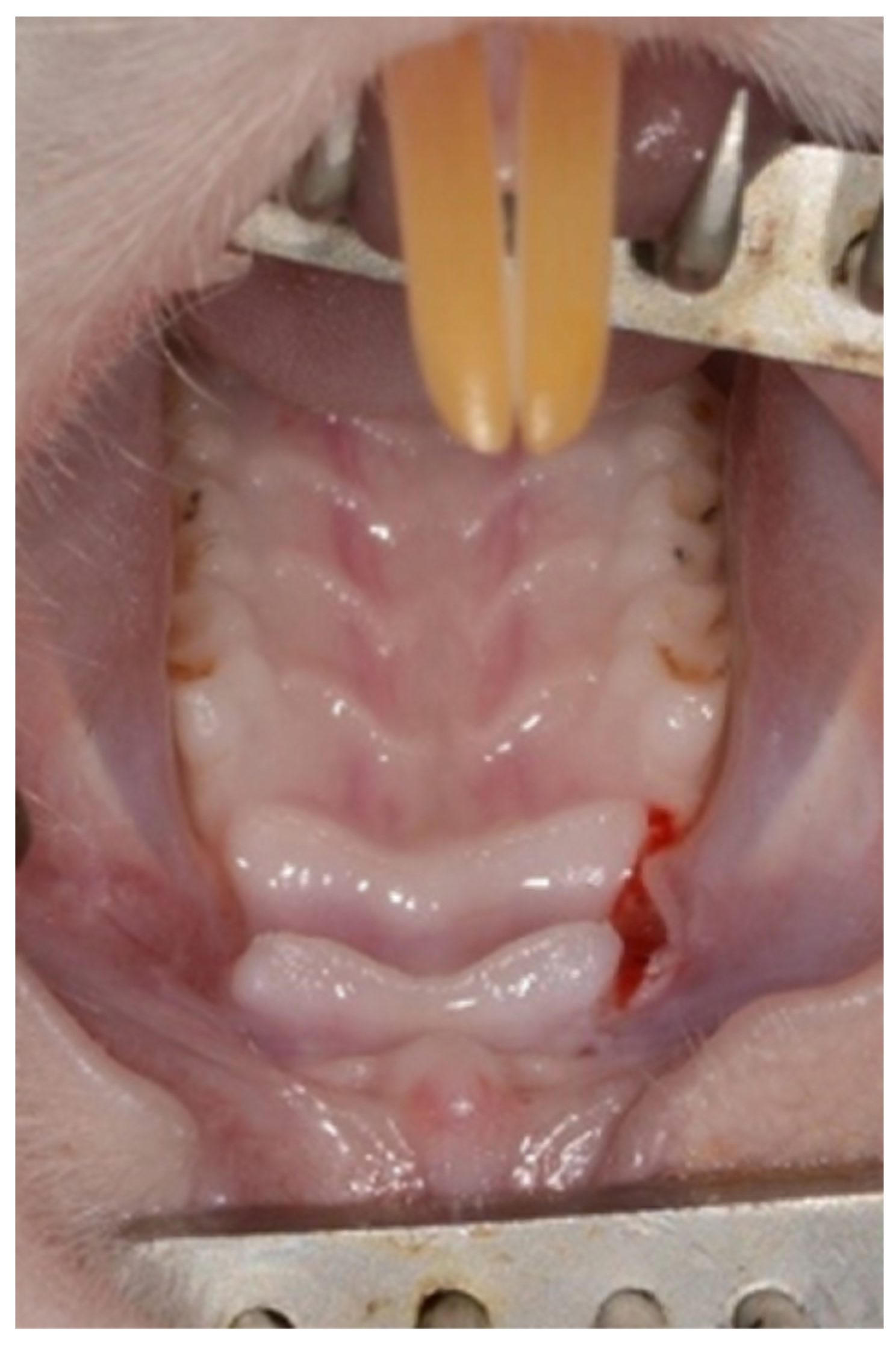 Medicina 56 00200 g001