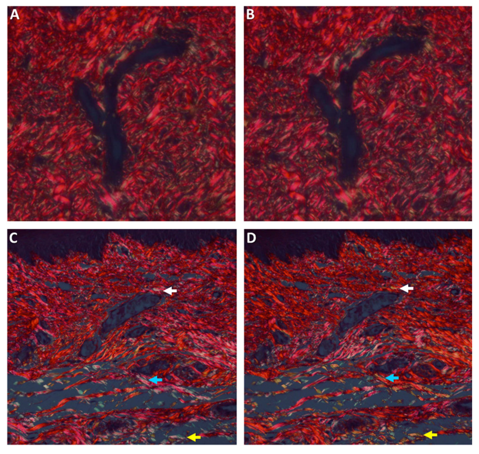 Medicina 56 00200 g006
