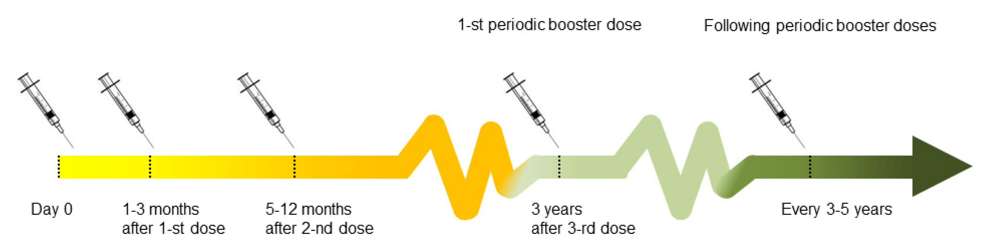 Medicina 56 00244 g001