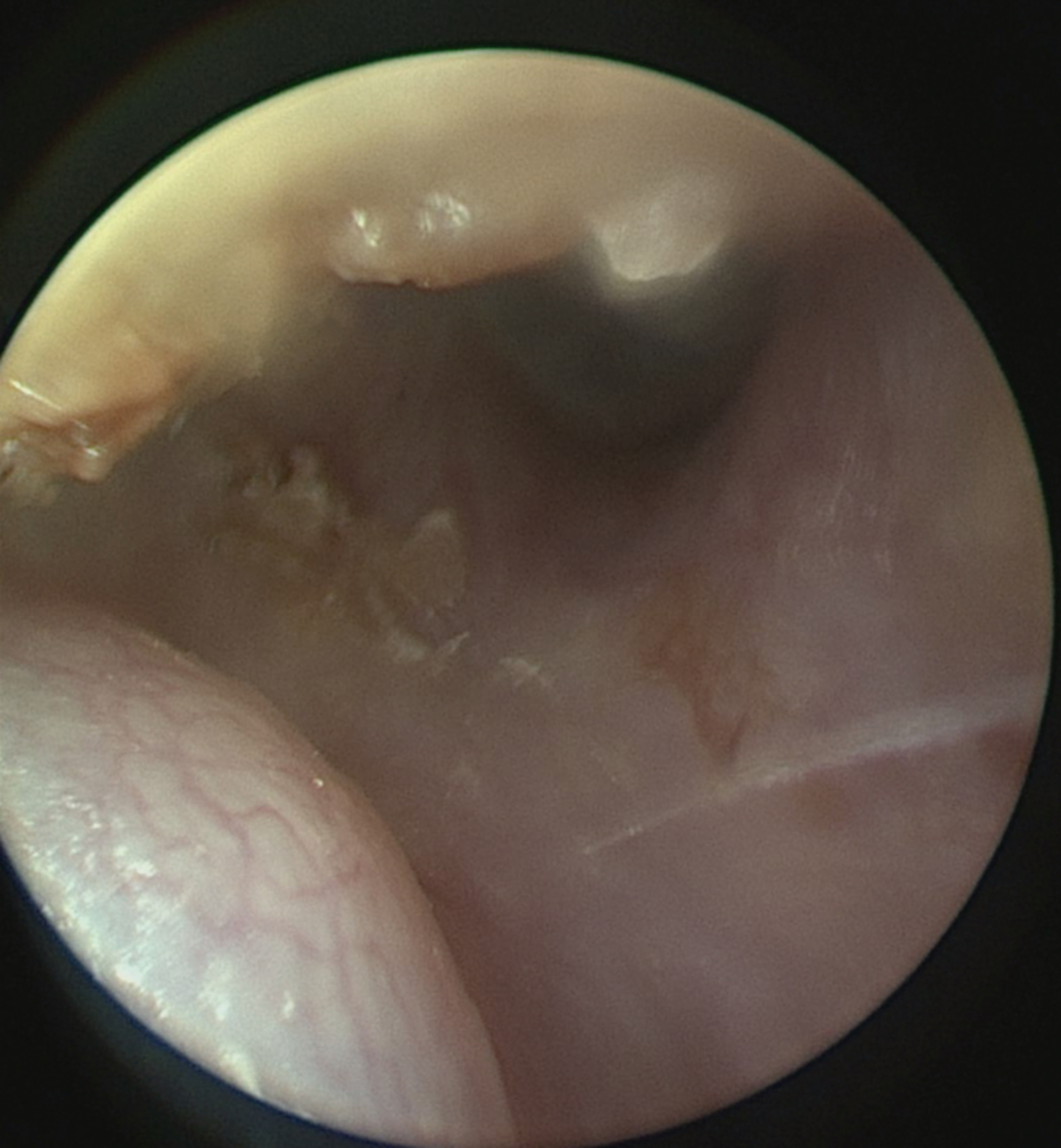 Medicina 56 00248 g001 Medicina 56 00248 g001