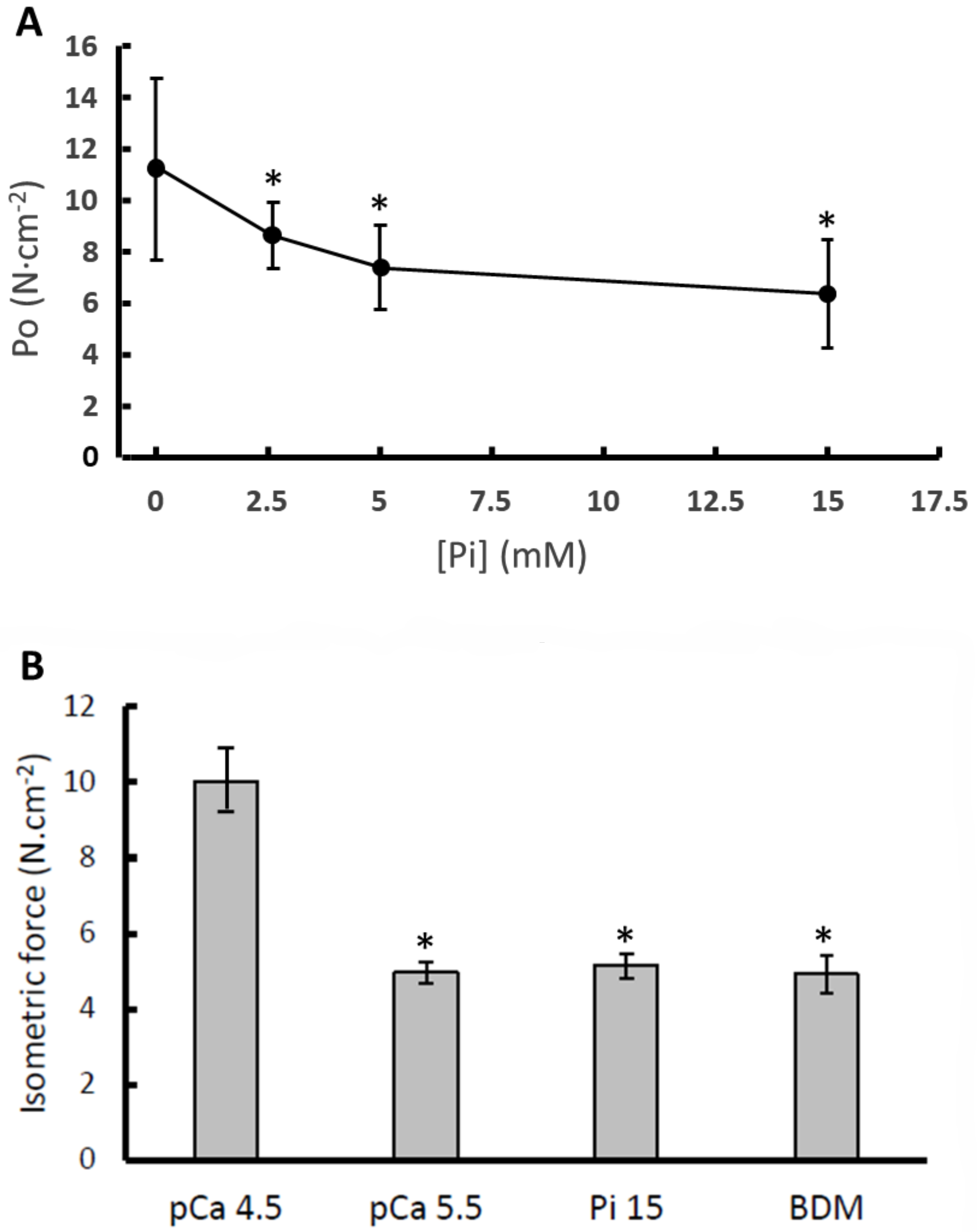 Medicina 56 00249 g001