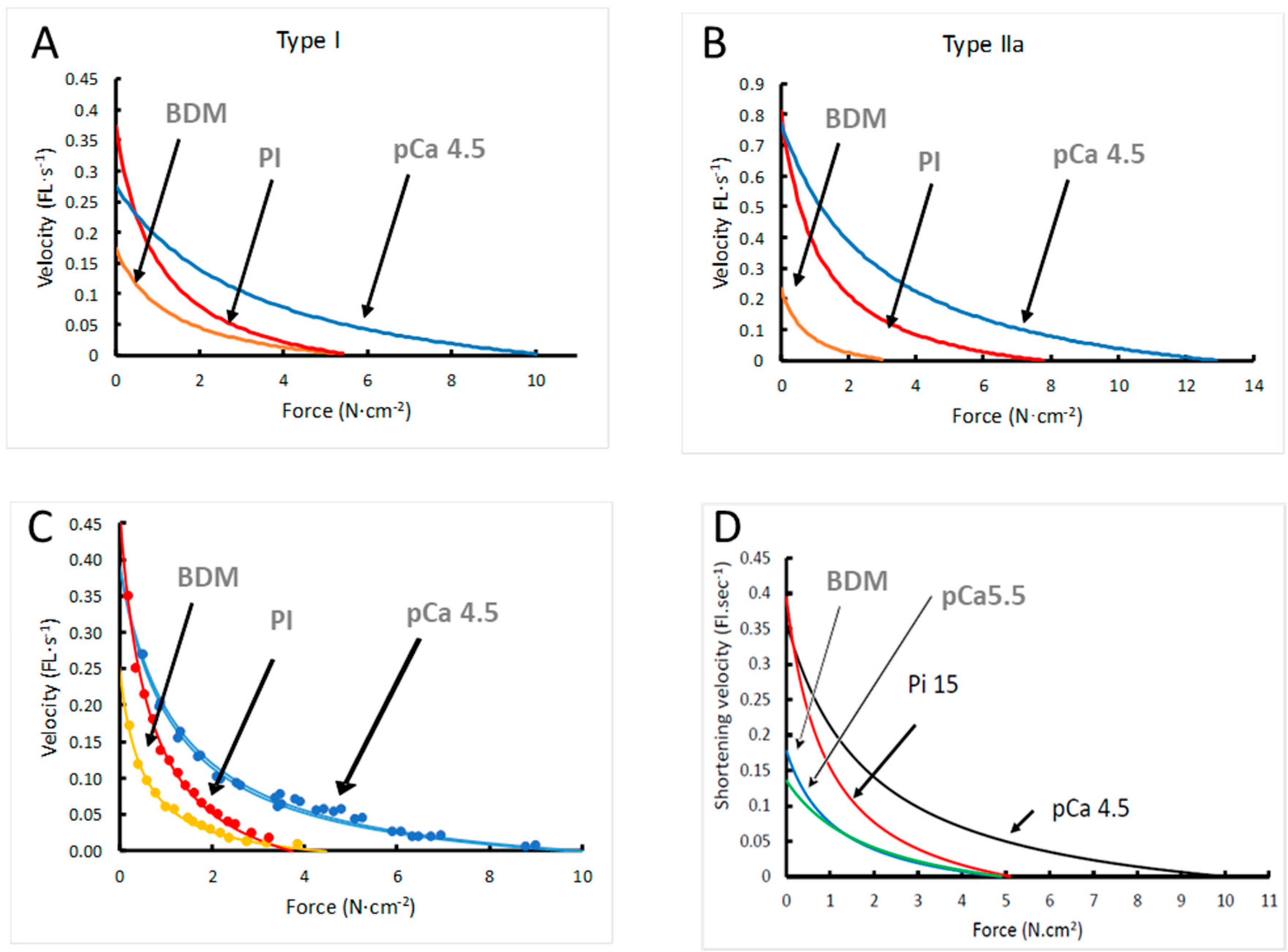 Medicina 56 00249 g002