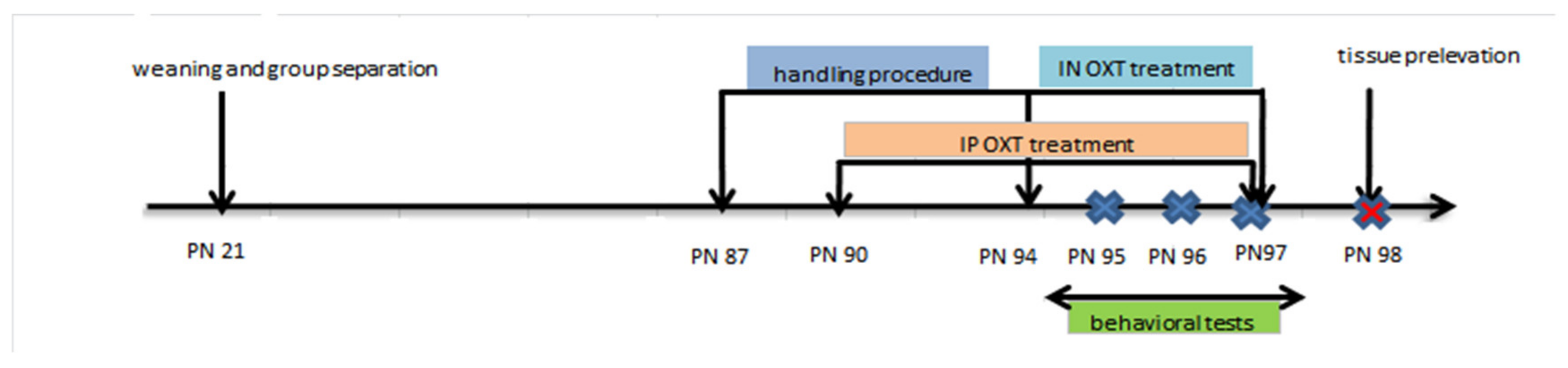 Medicina 56 00267 g001 Medicina 56 00267 g001