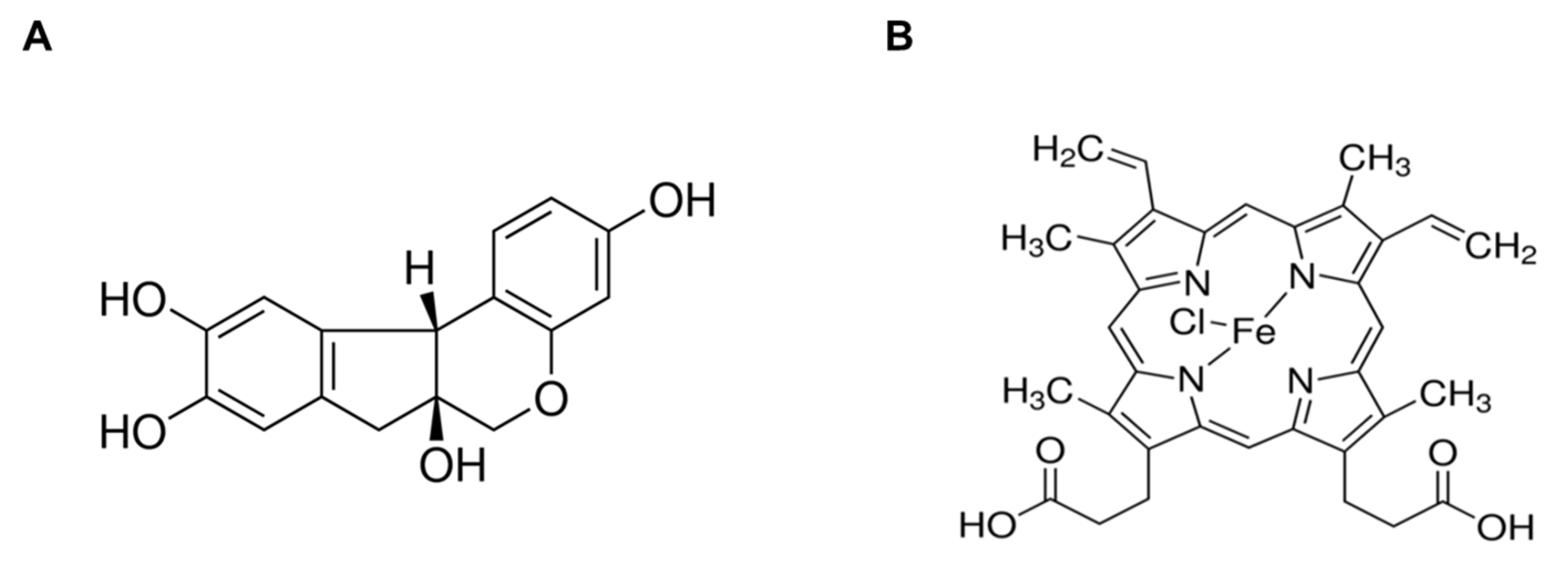 Medicina 56 00268 g001 Medicina 56 00268 g001
