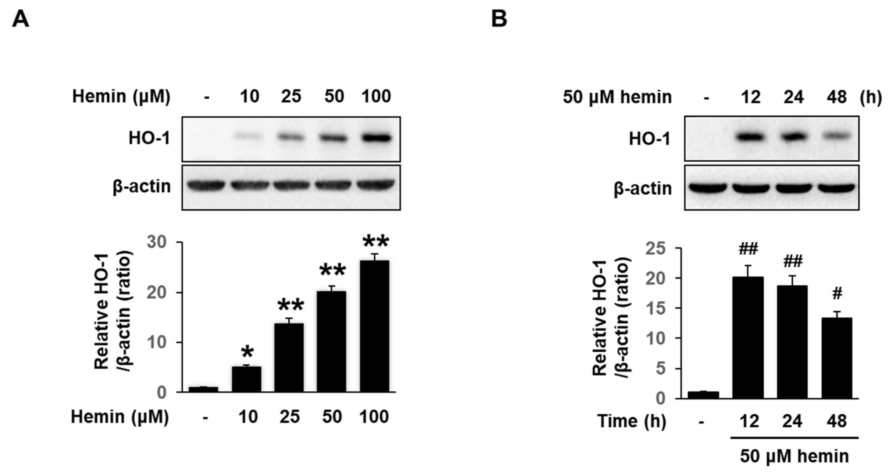 Medicina 56 00268 g003 Medicina 56 00268 g003