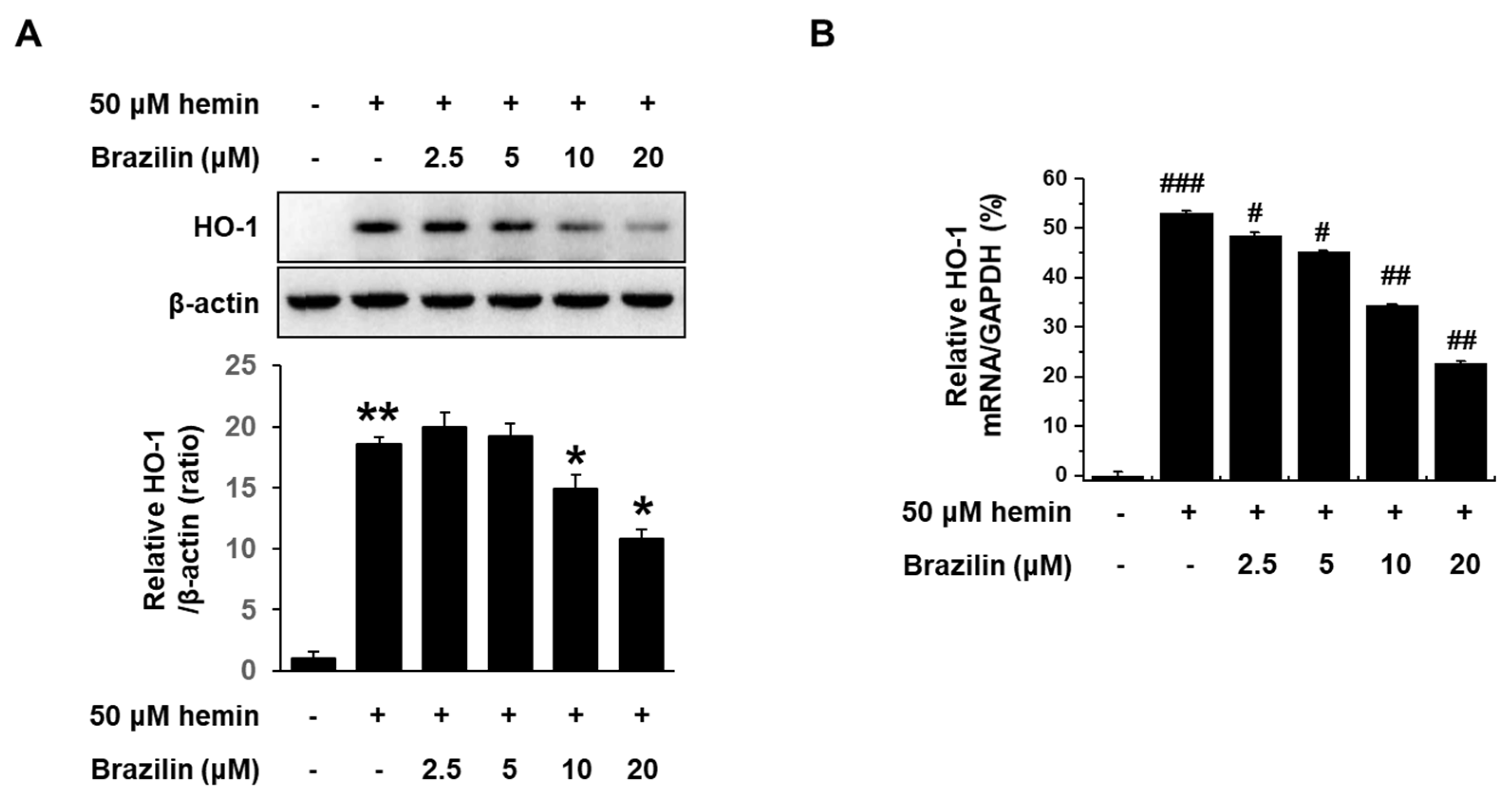 Medicina 56 00268 g004 Medicina 56 00268 g004