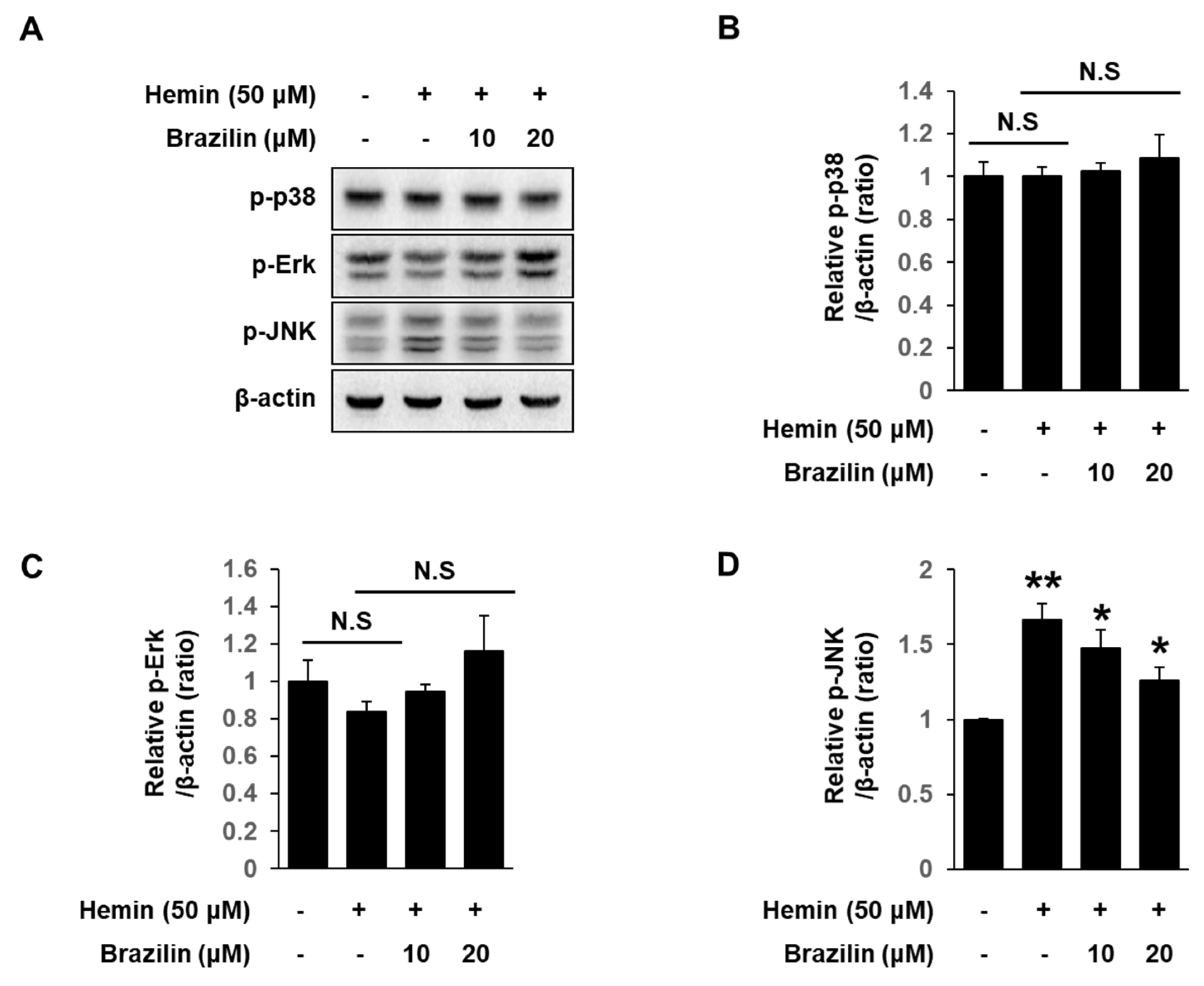 Medicina 56 00268 g006 Medicina 56 00268 g006
