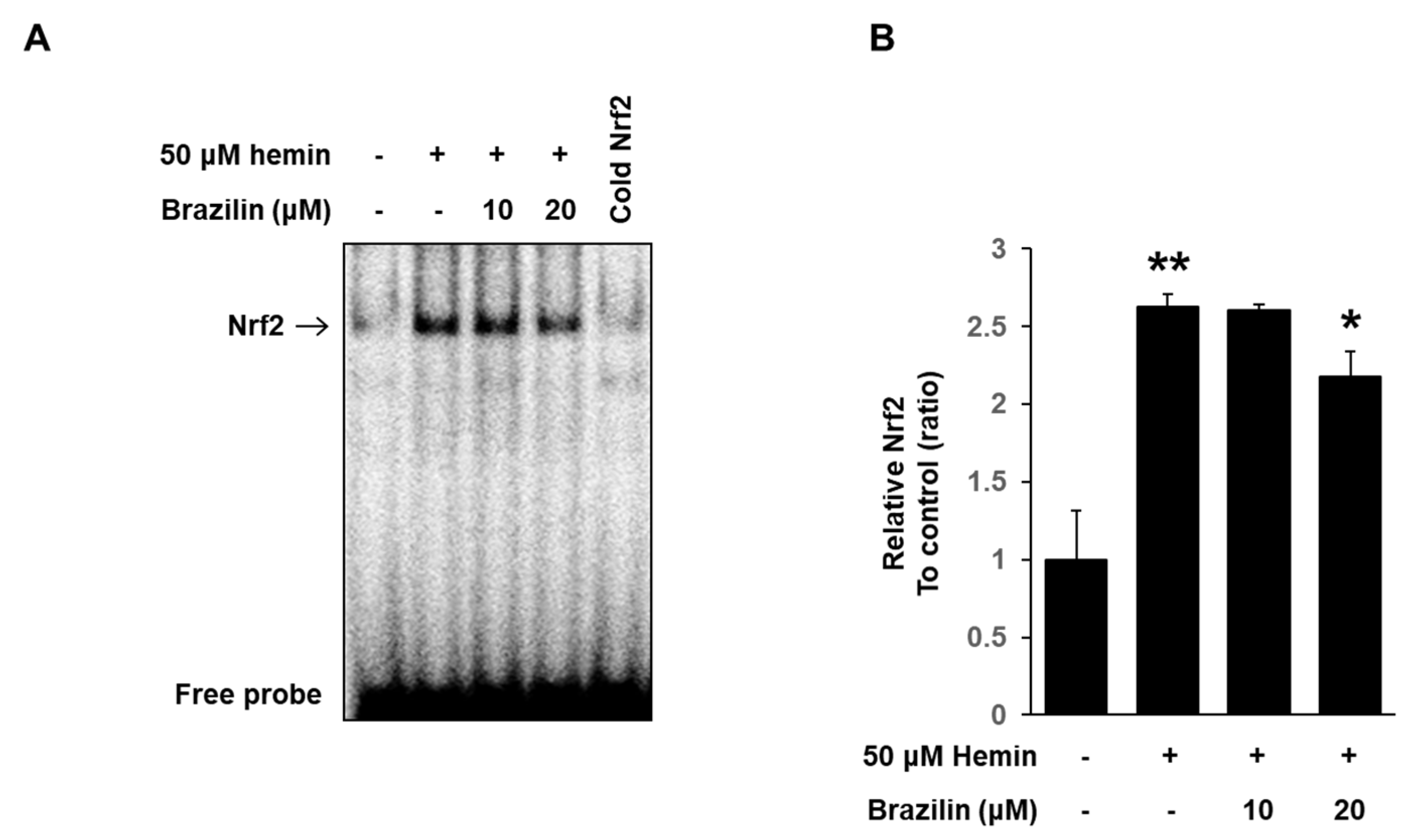 Medicina 56 00268 g008 Medicina 56 00268 g008