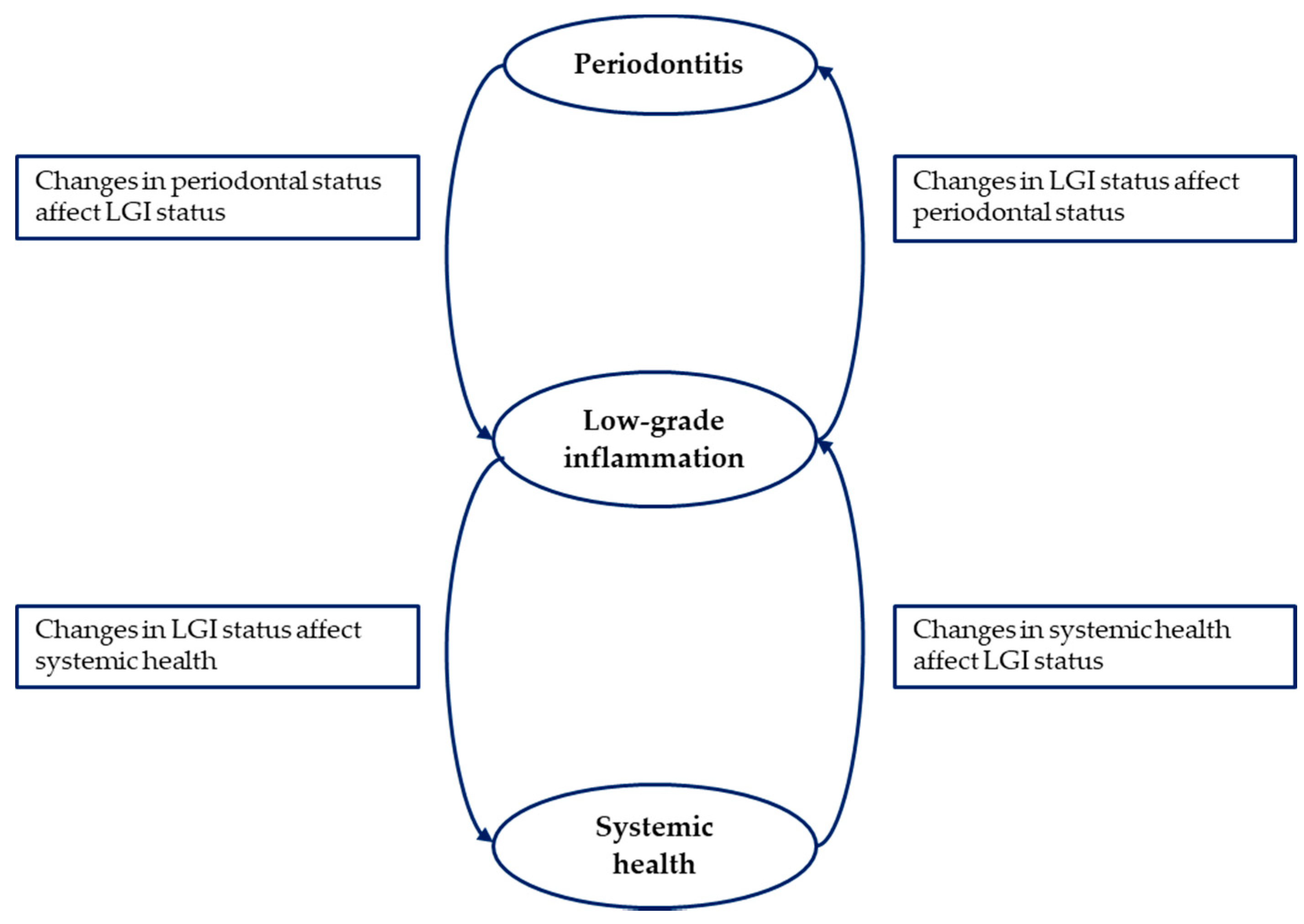 Medicina 56 00272 g002