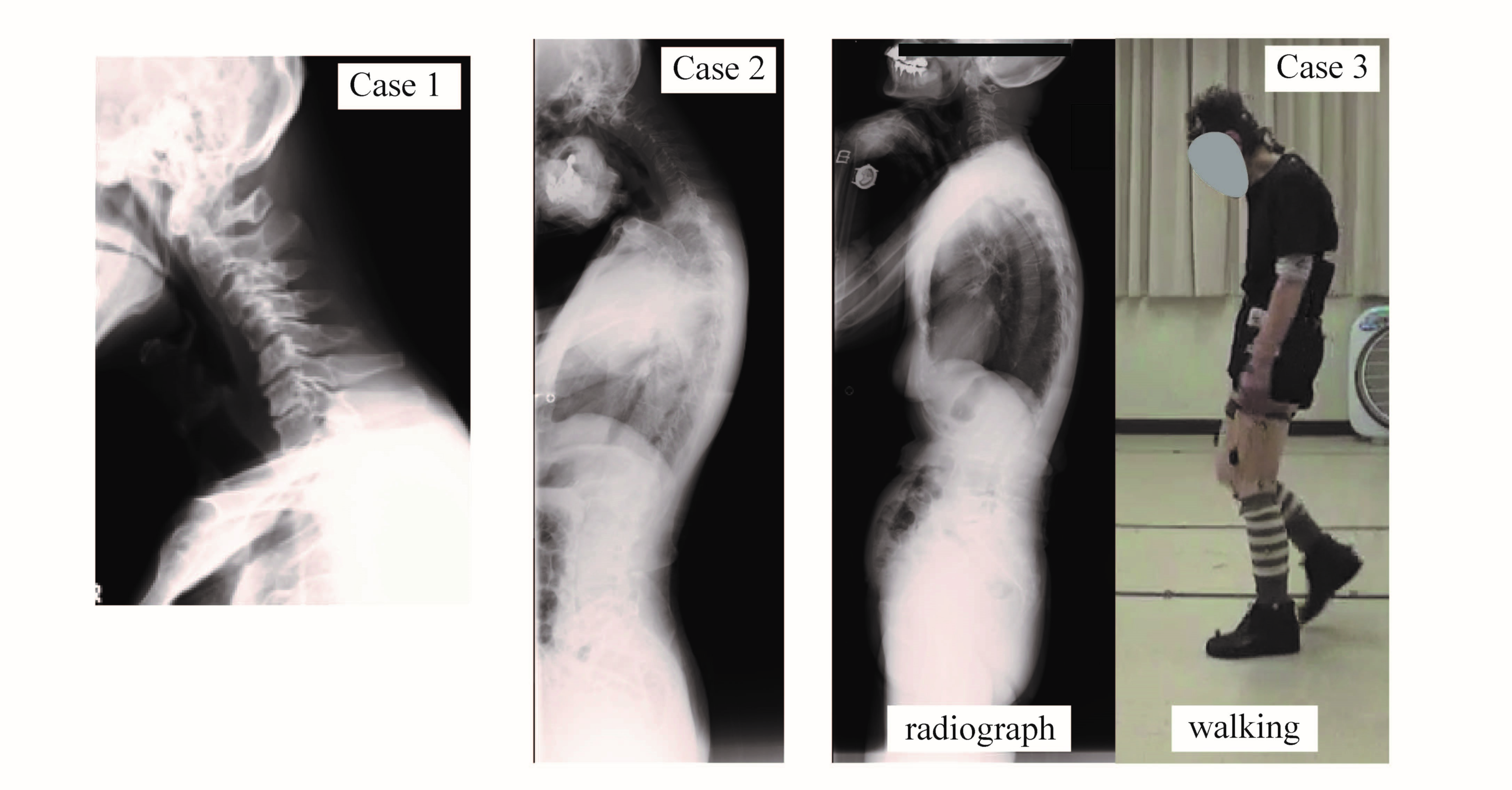 Medicina 56 00291 g001