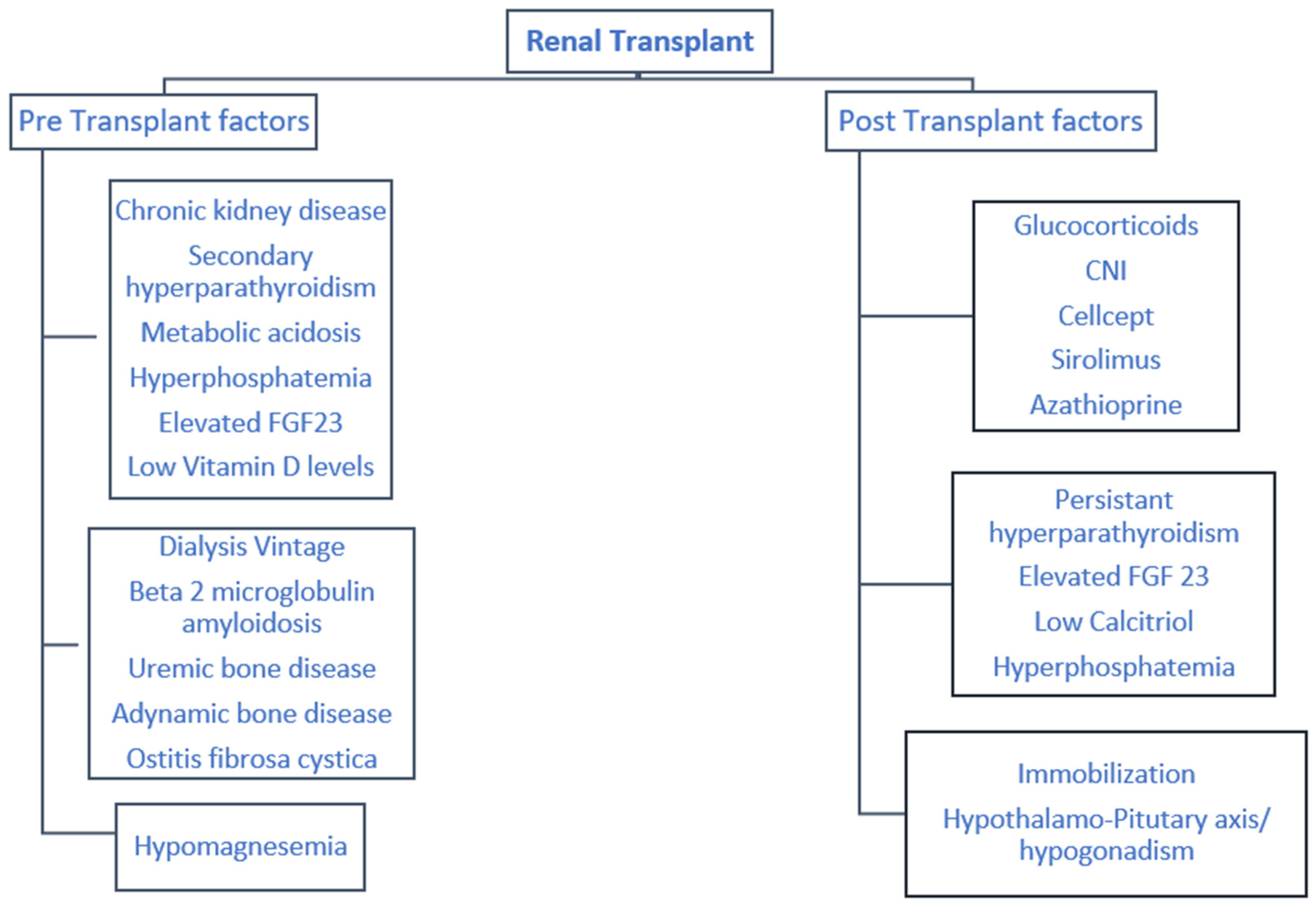 Medicina 56 00302 g003