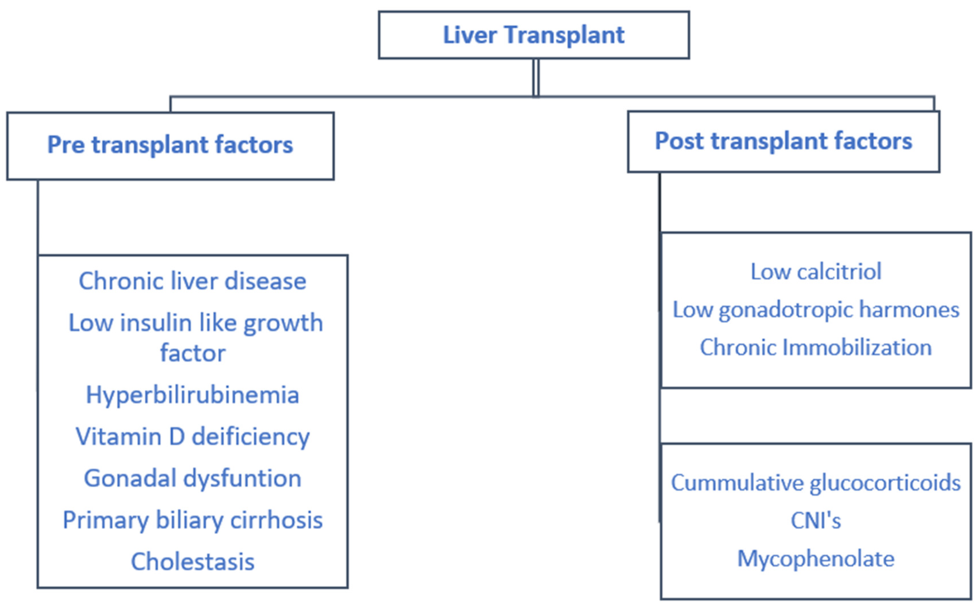 Medicina 56 00302 g004