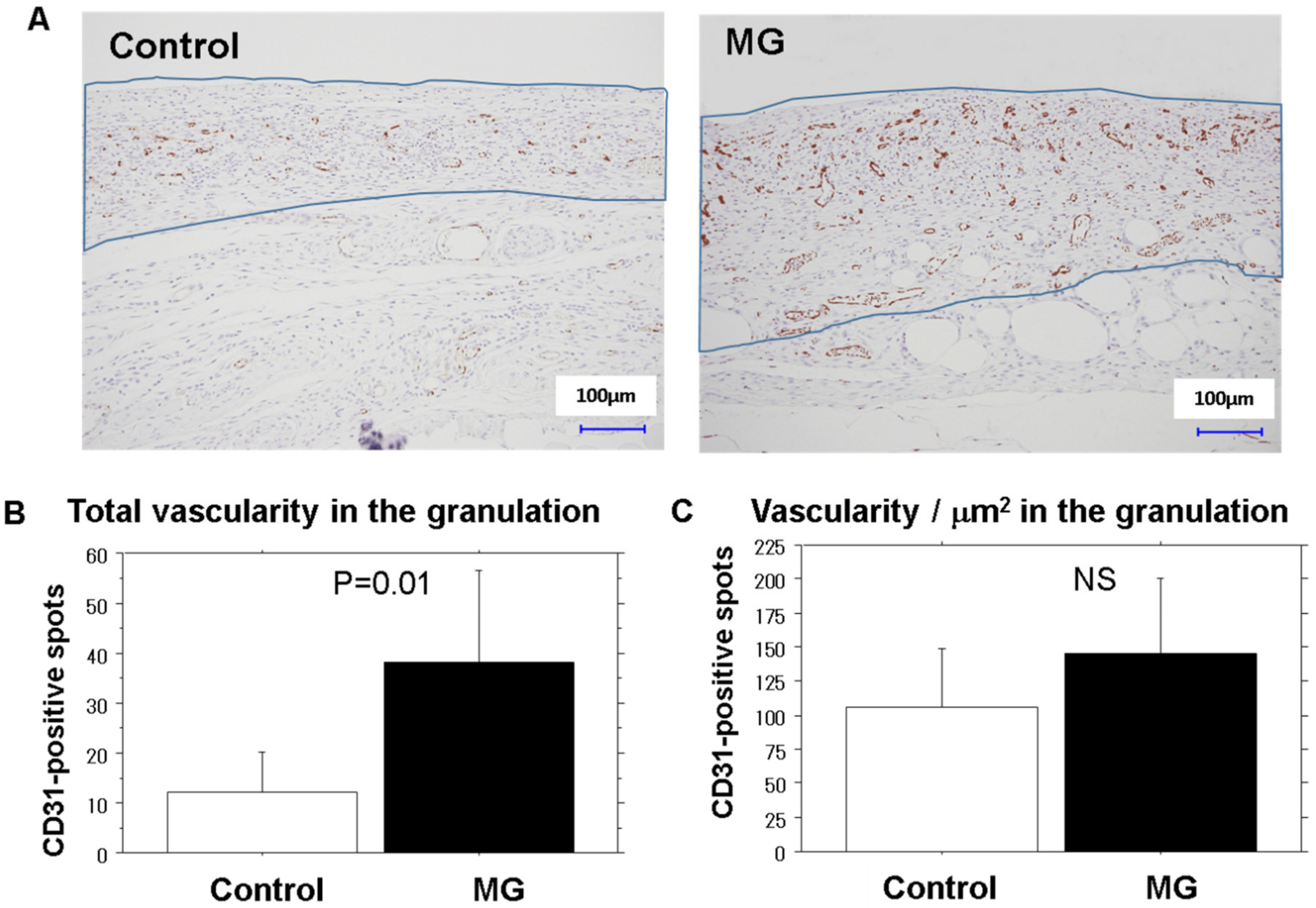 Medicina 56 00321 g002 Medicina 56 00321 g002
