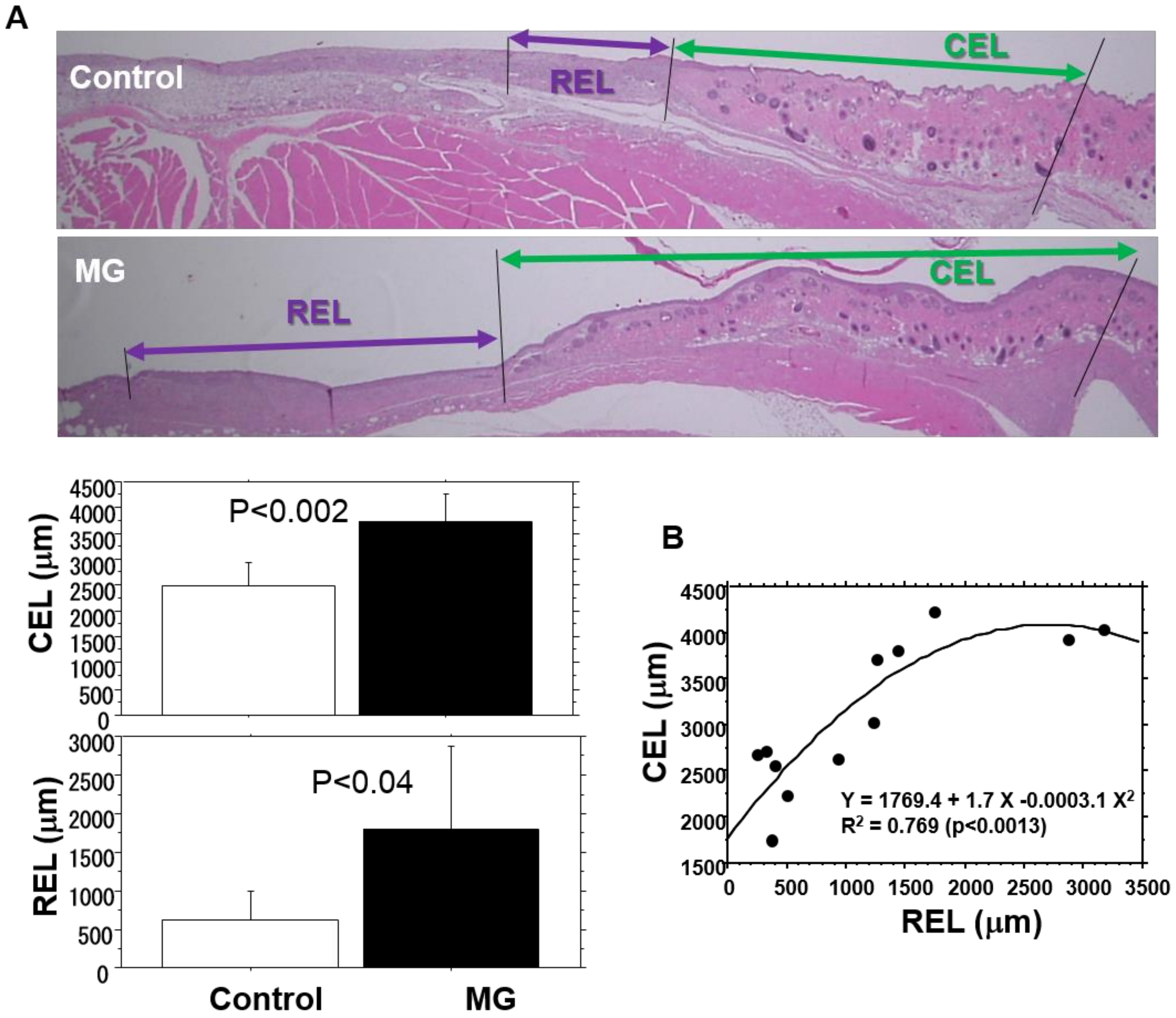 Medicina 56 00321 g004 Medicina 56 00321 g004
