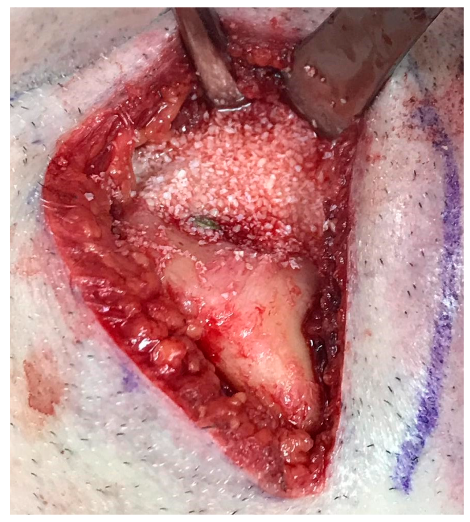 Medicina 56 00326 g019