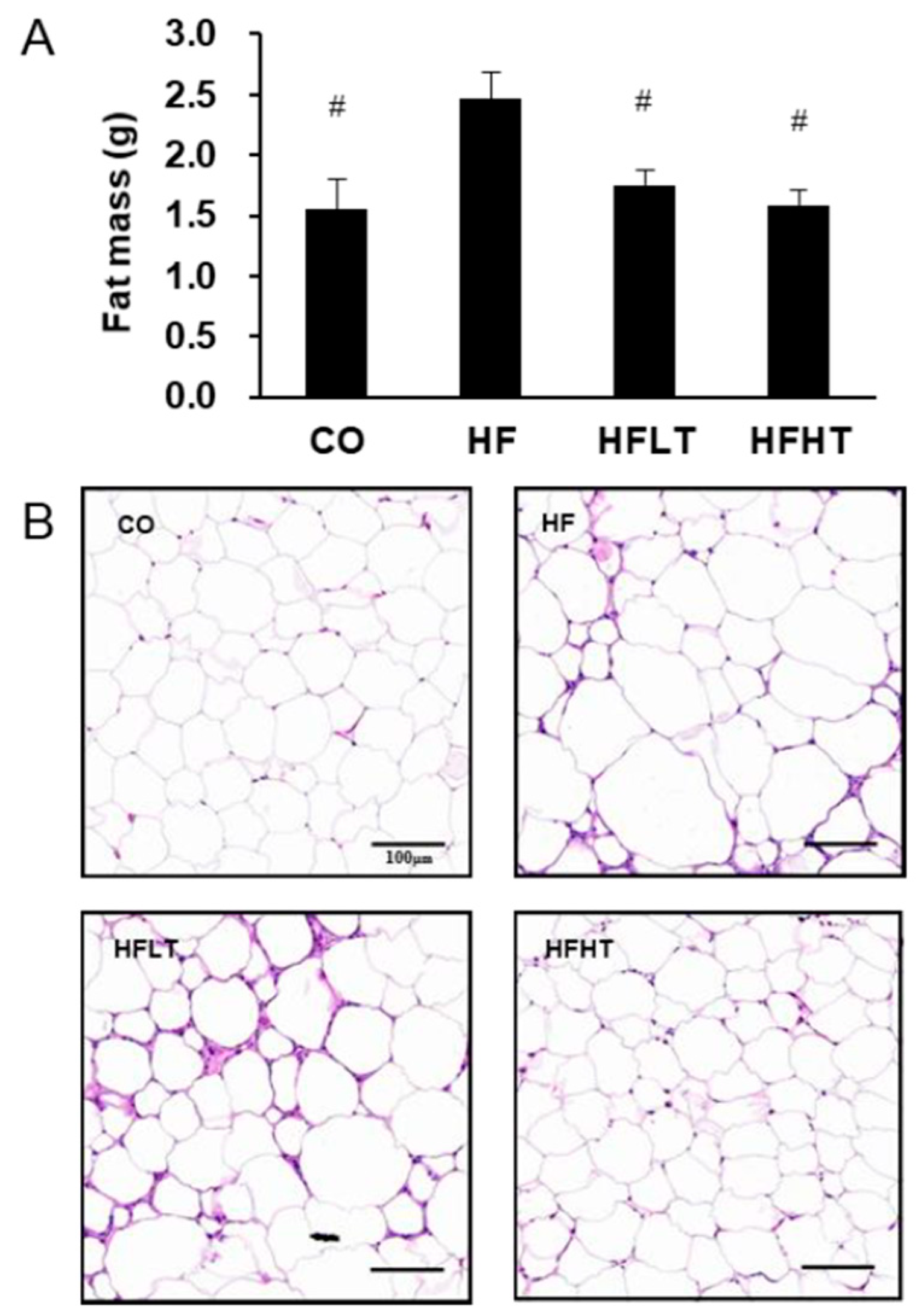 Medicina 56 00331 g002
