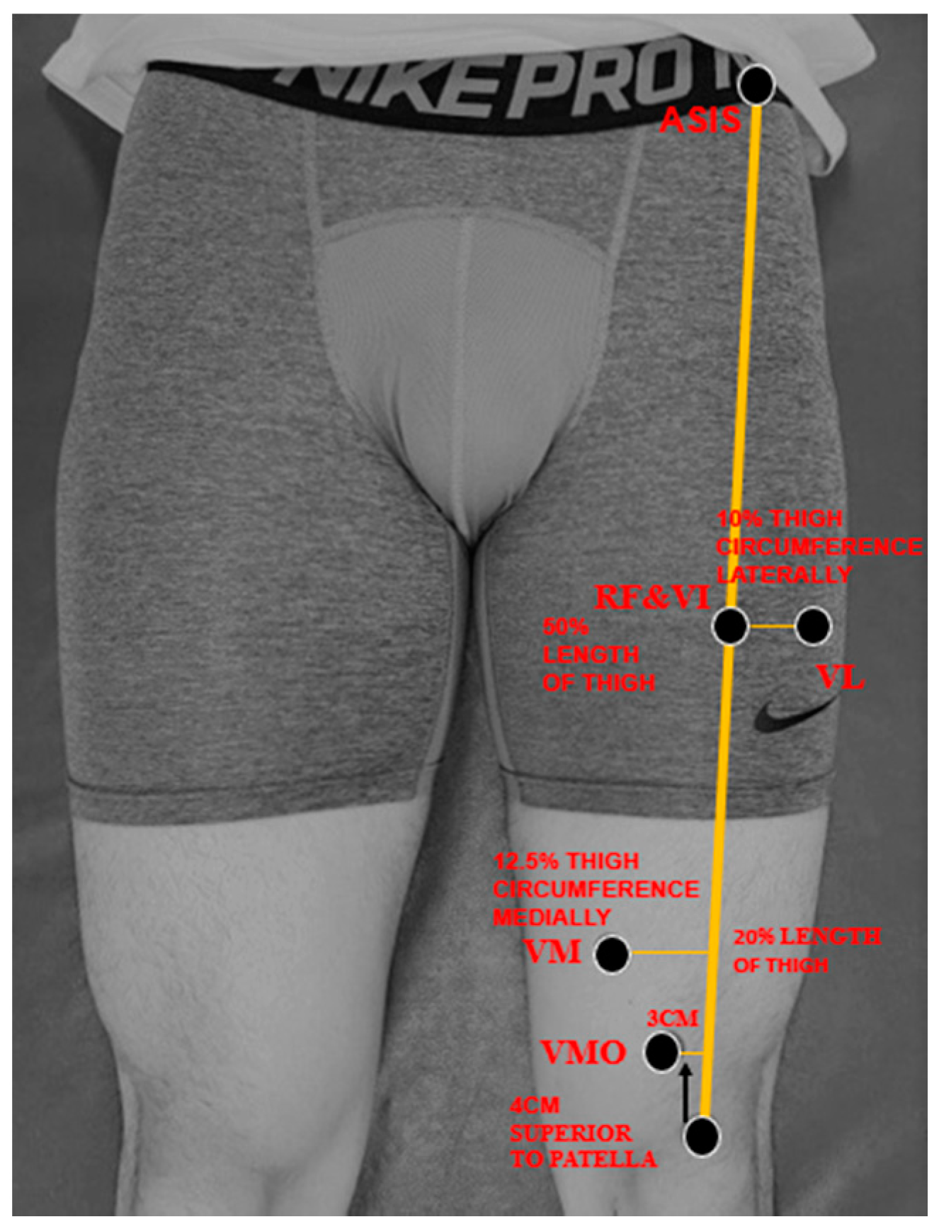 Medicina 56 00335 g002