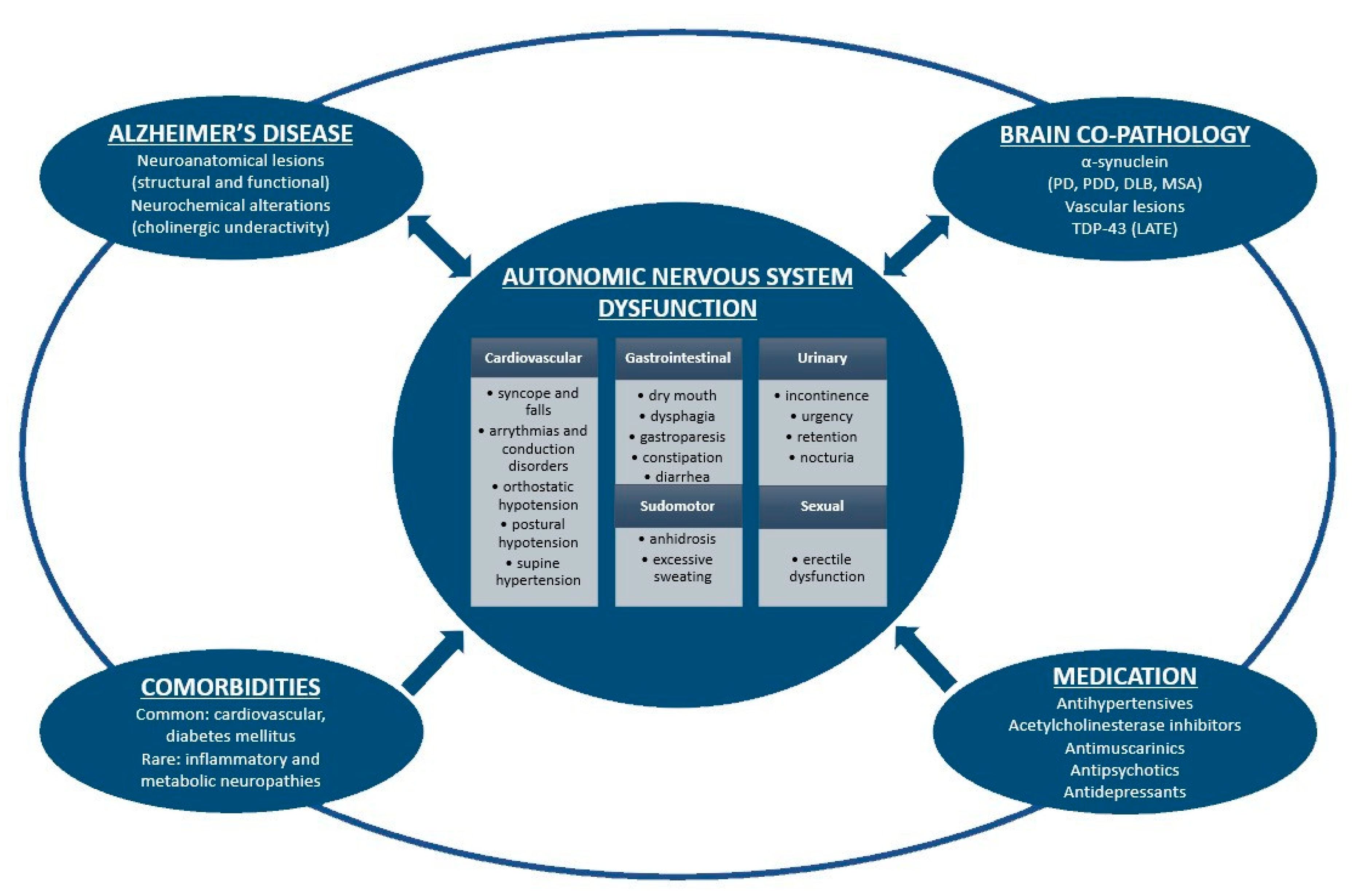 Medicina 56 00337 g001