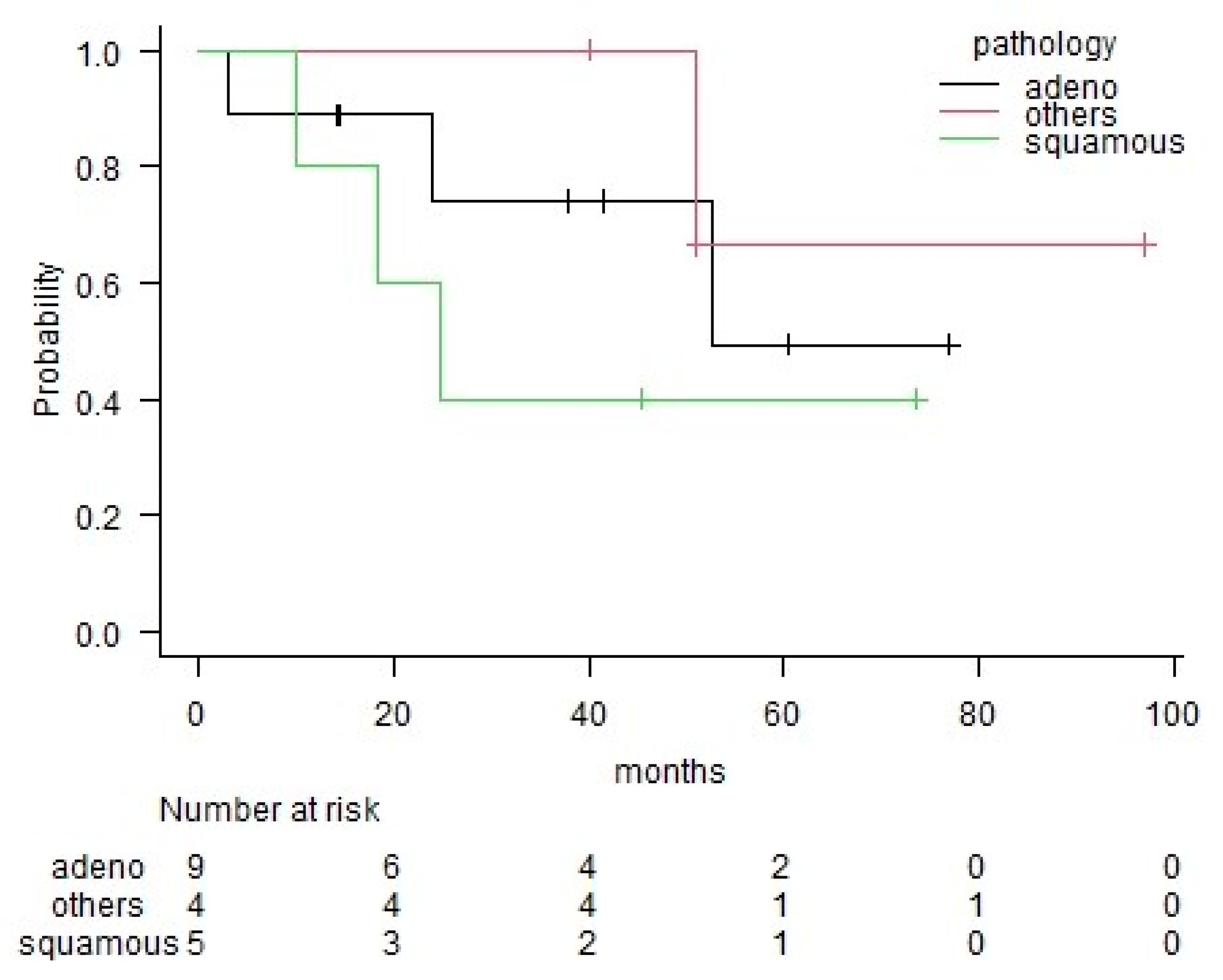 Medicina 56 00343 g002