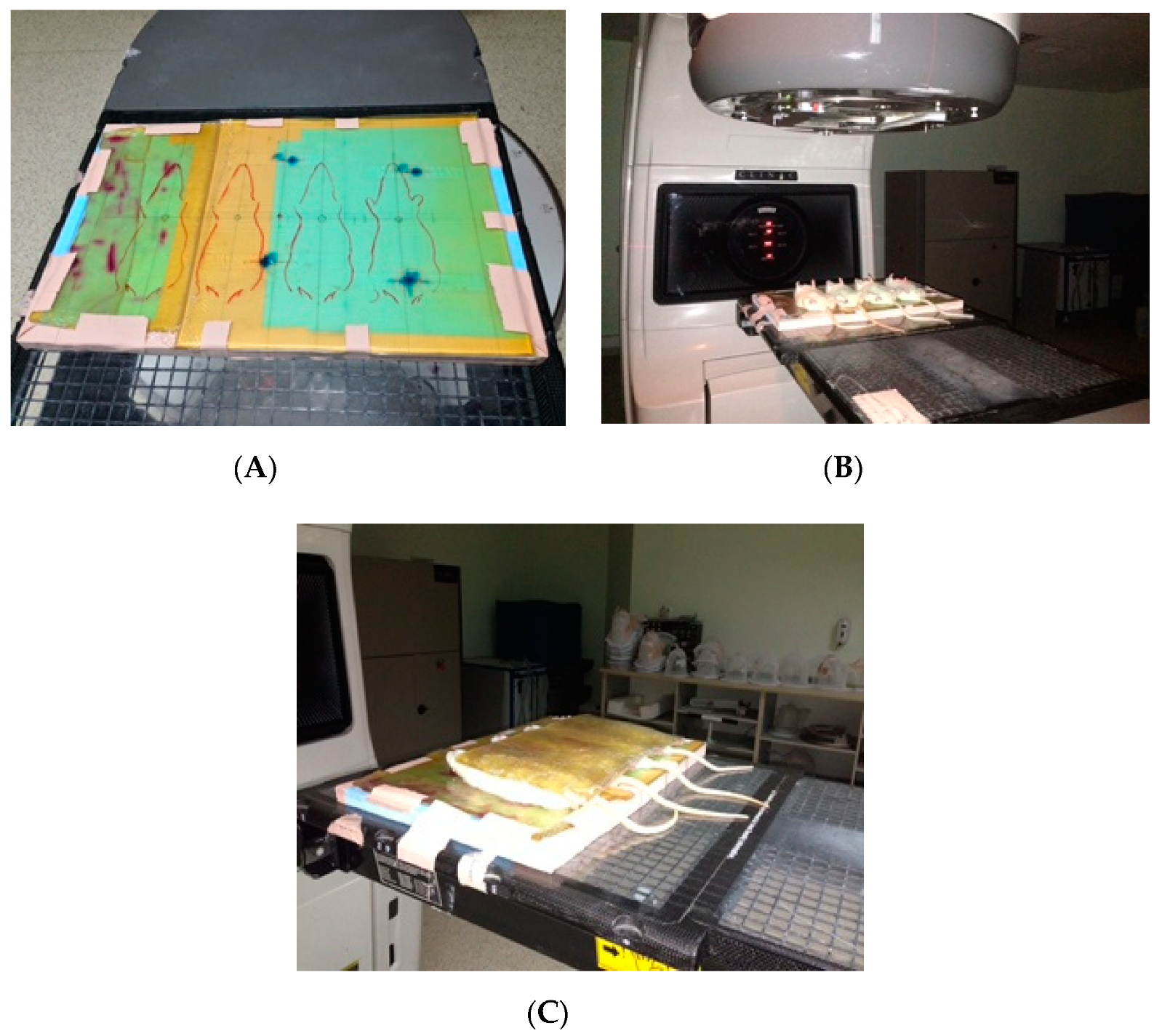 Medicina 56 00348 g001
