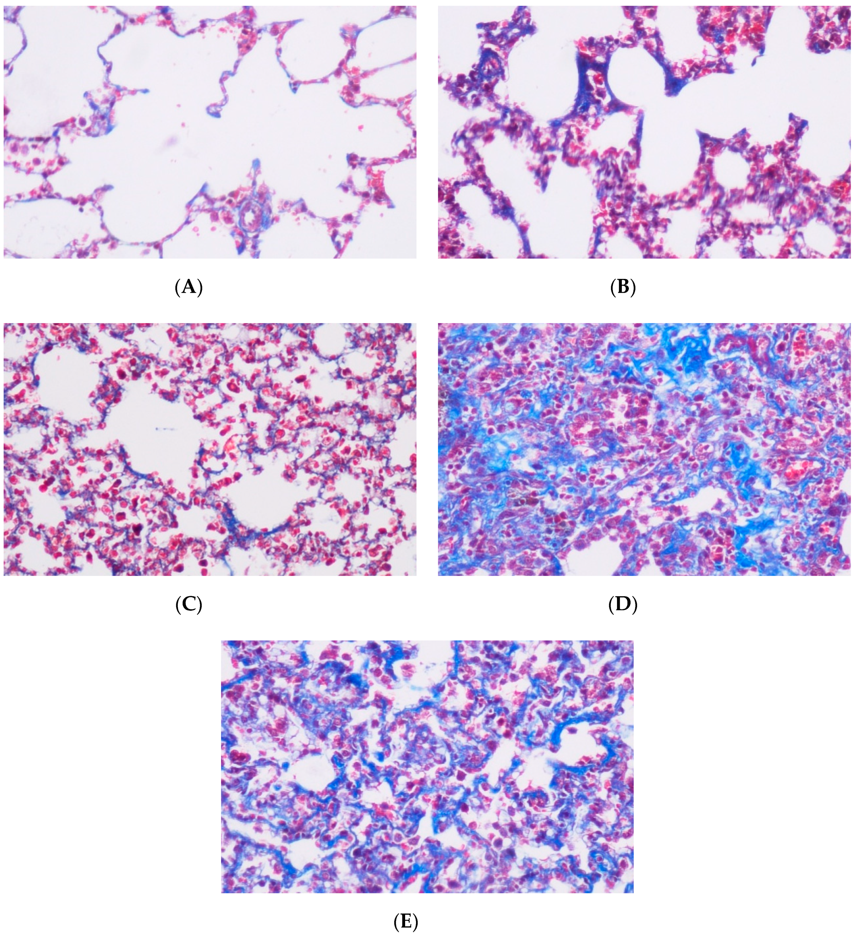 Medicina 56 00348 g002