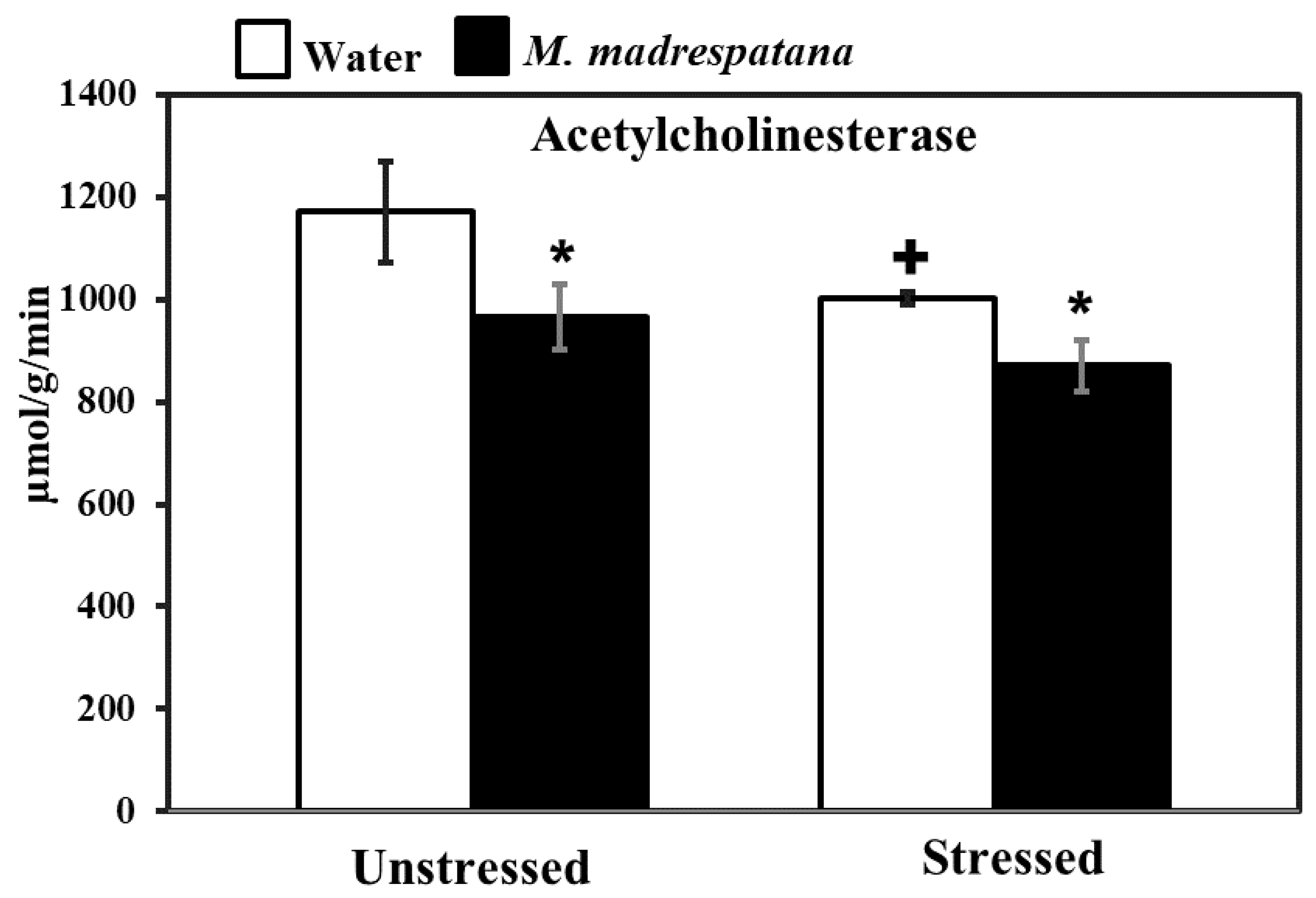 Medicina 56 00350 g008 Medicina 56 00350 g008