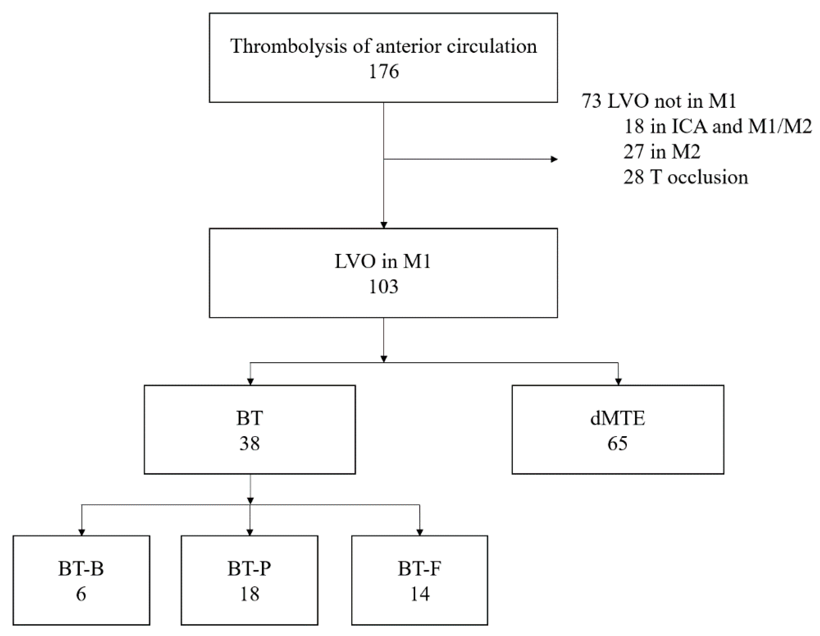 Medicina 56 00357 g001 Medicina 56 00357 g001