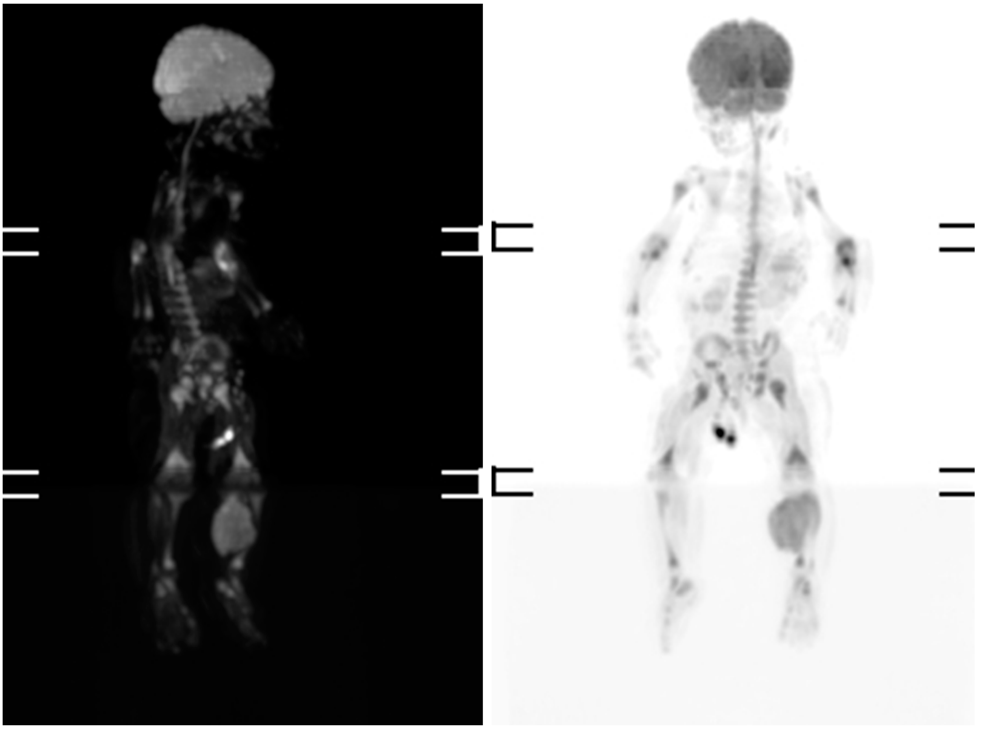 Medicina 56 00362 g001 550
