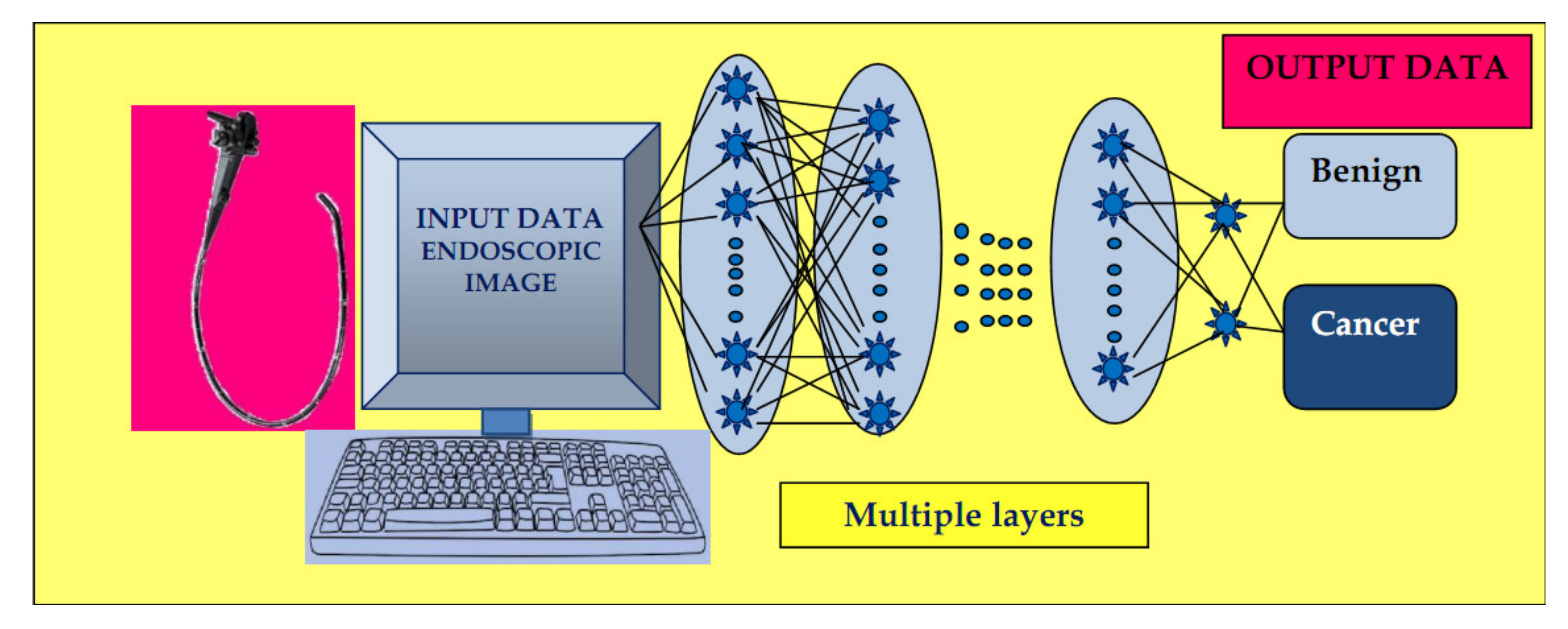 Medicina 56 00364 g002