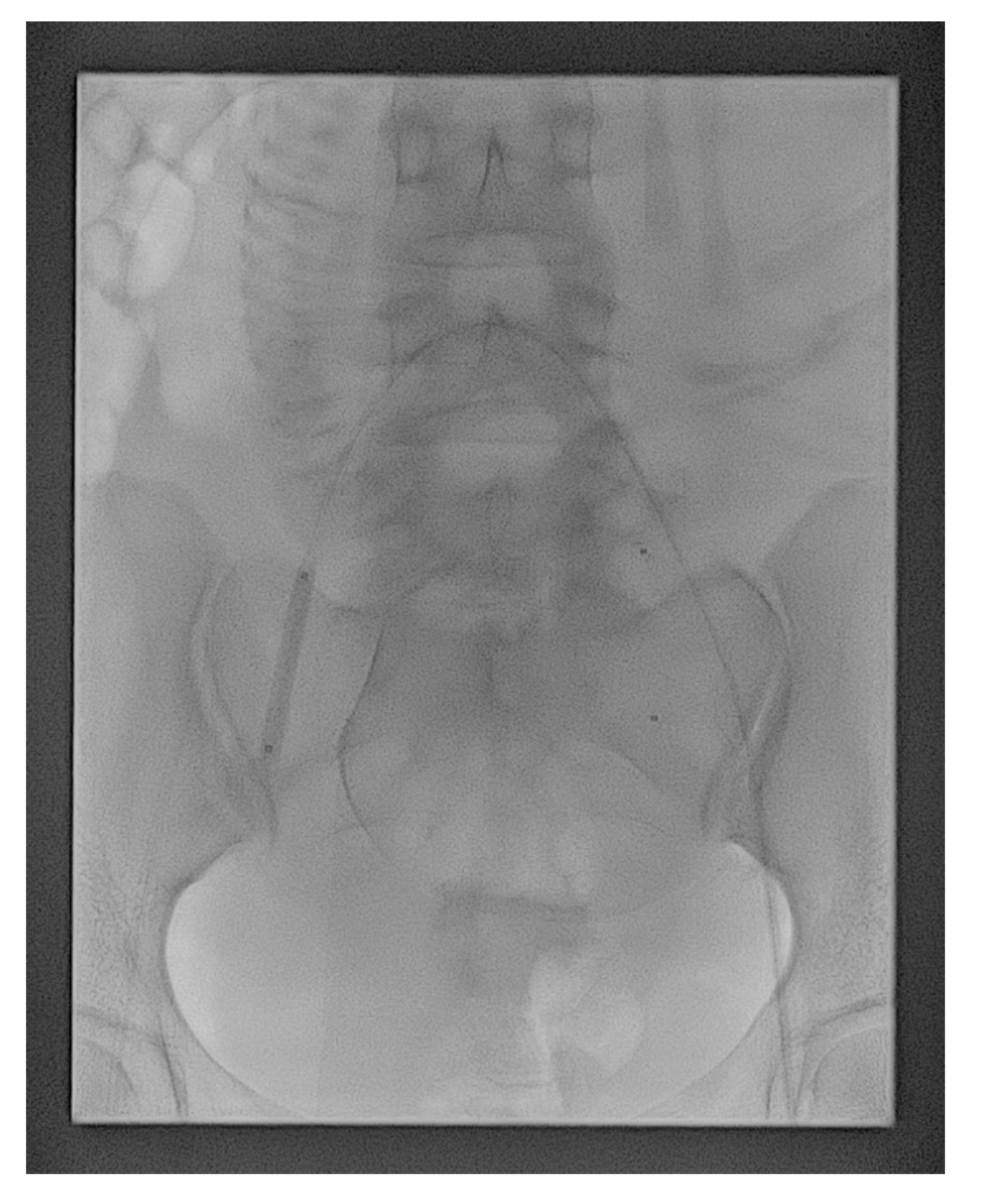 Medicina 56 00368 g001