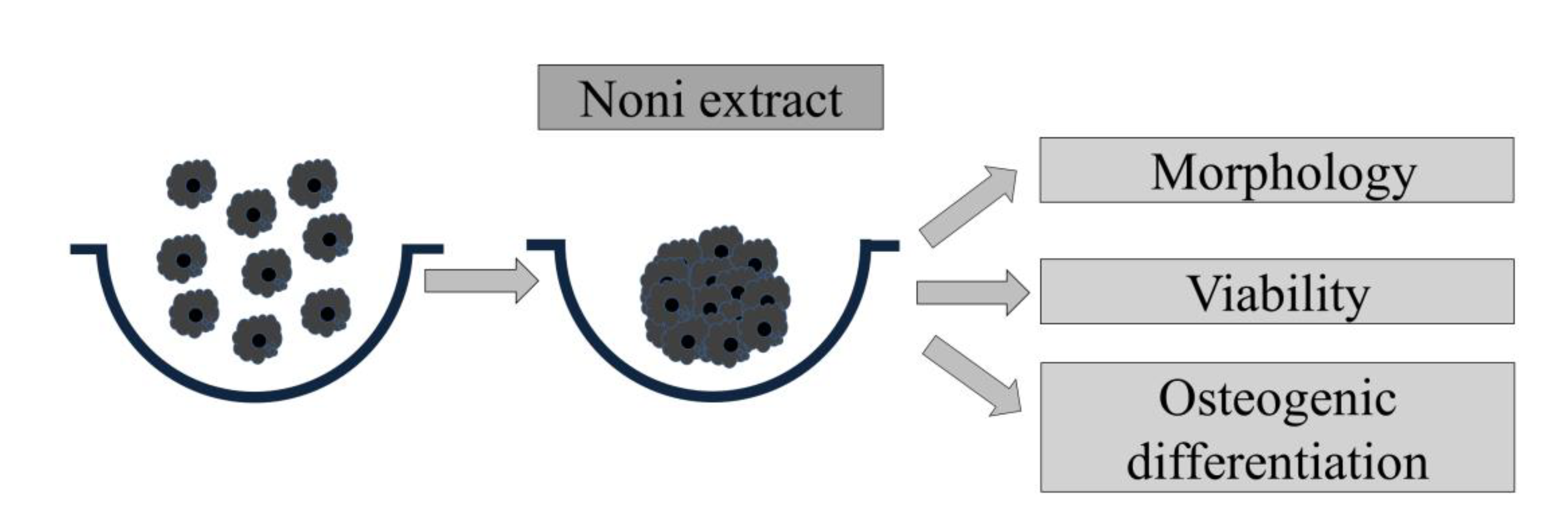 Medicina 56 00389 g001